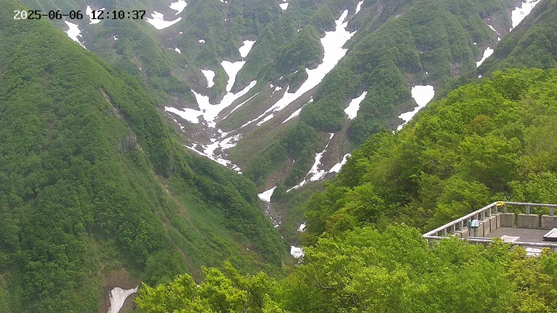 naso20250606121038.jpg
