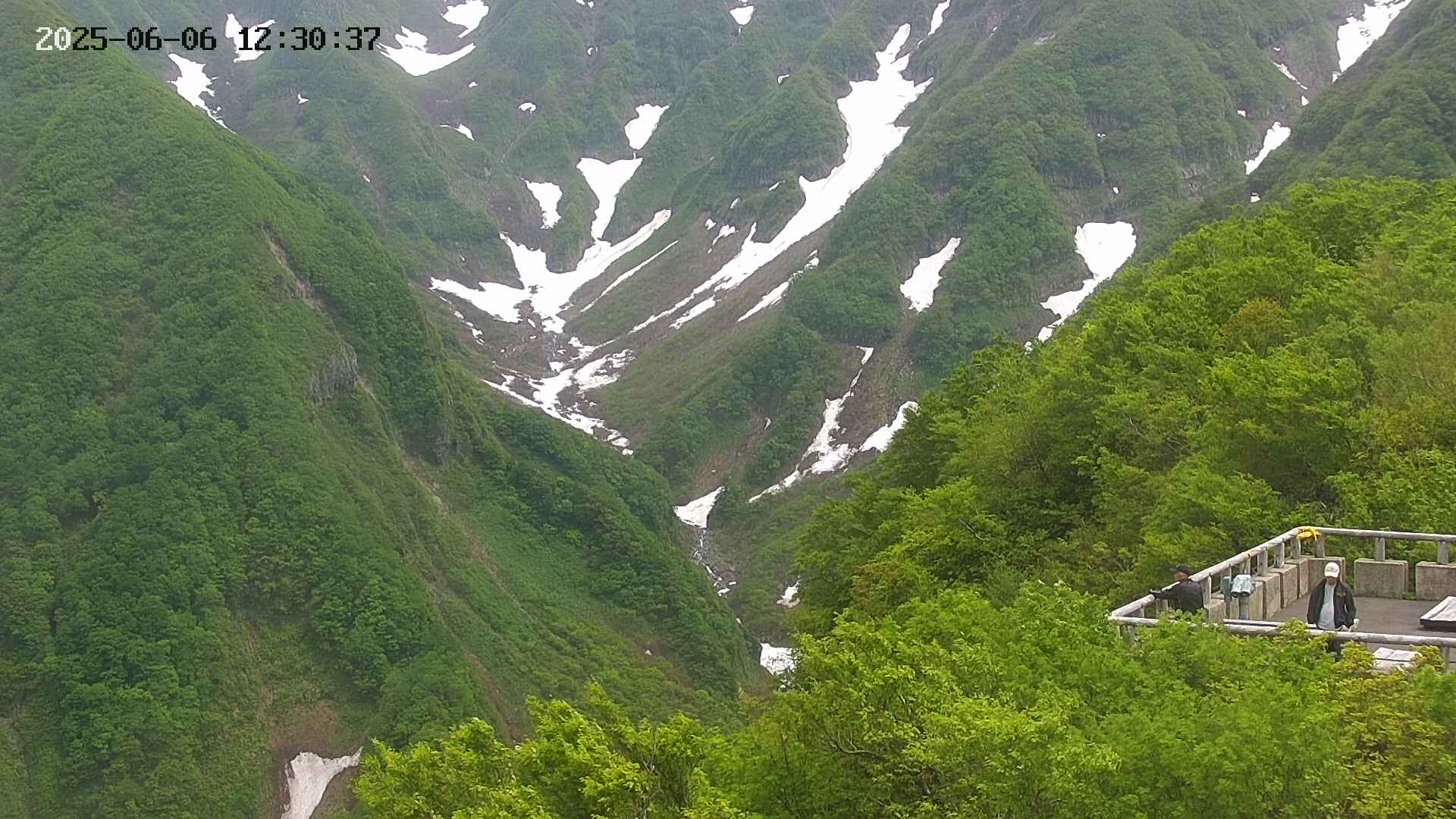 naso20250606123038.jpg