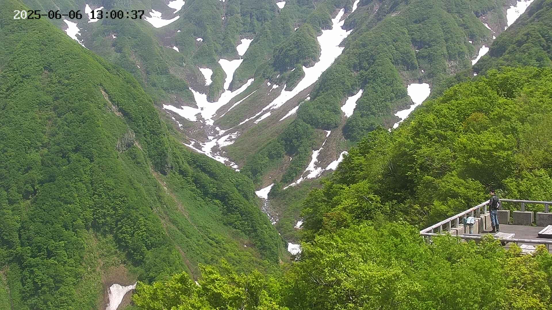 naso20250606130038.jpg