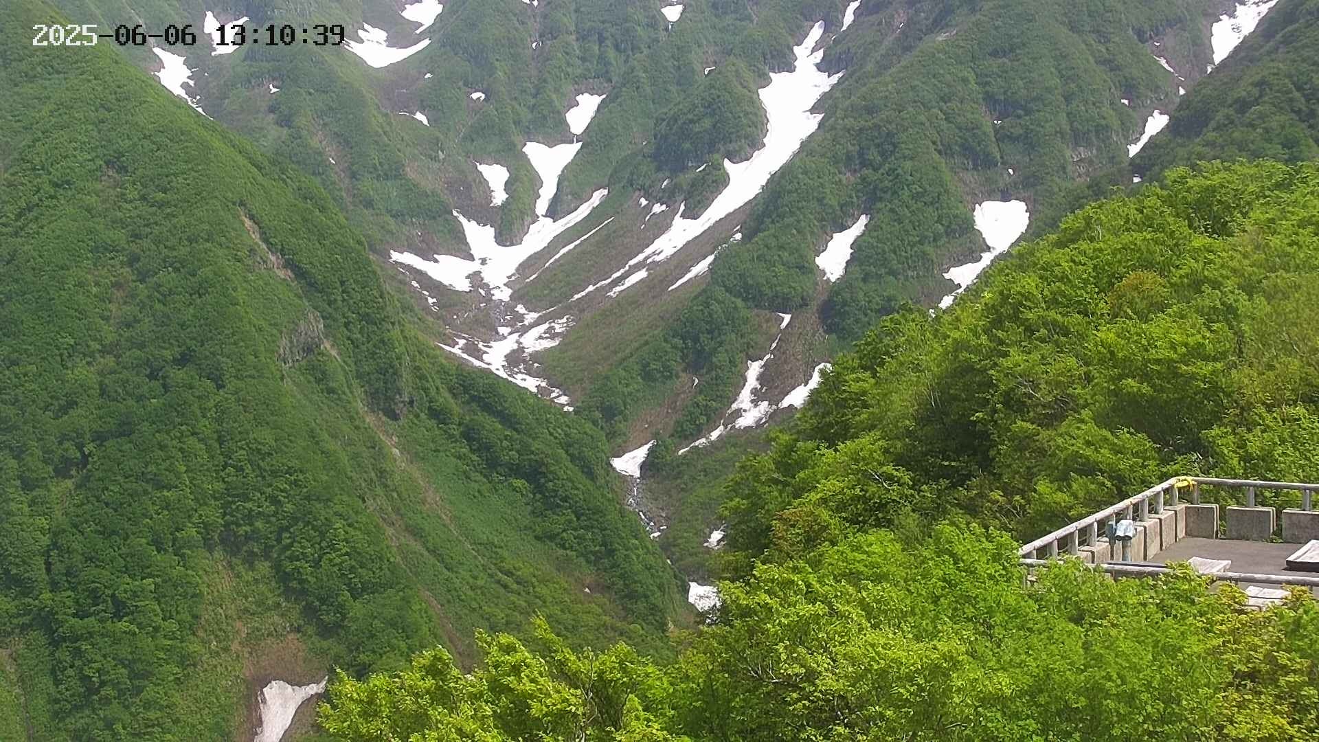 naso20250606131040.jpg