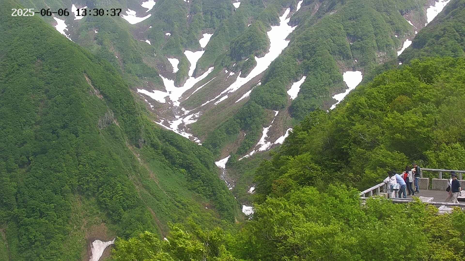 naso20250606133038.jpg