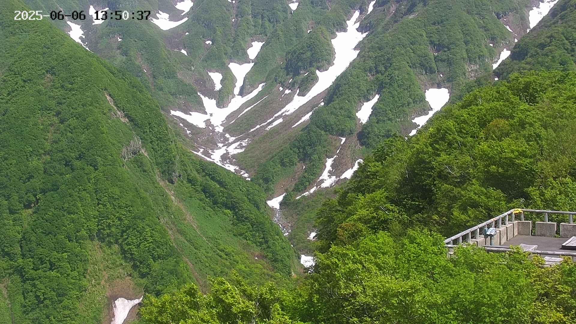 naso20250606135038.jpg