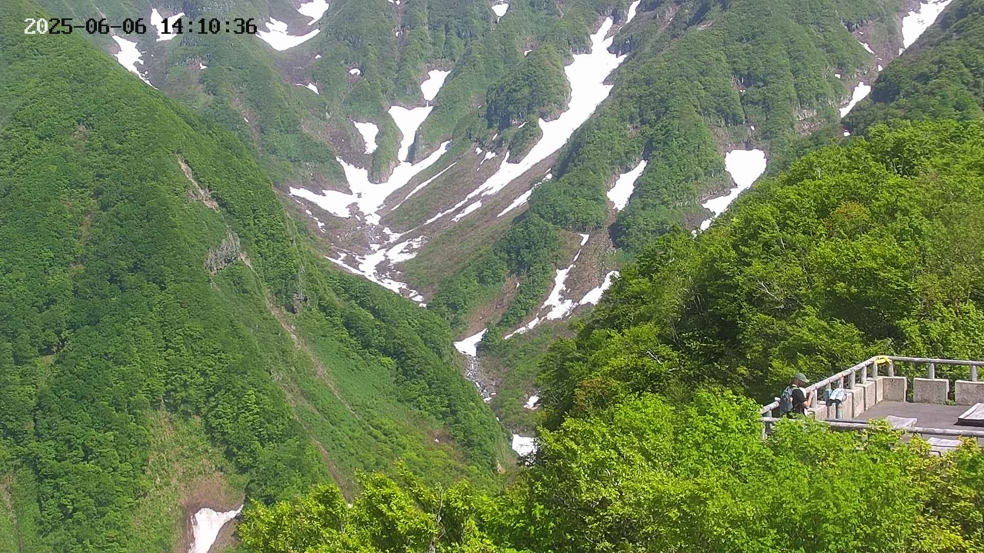 naso20250606141037.jpg