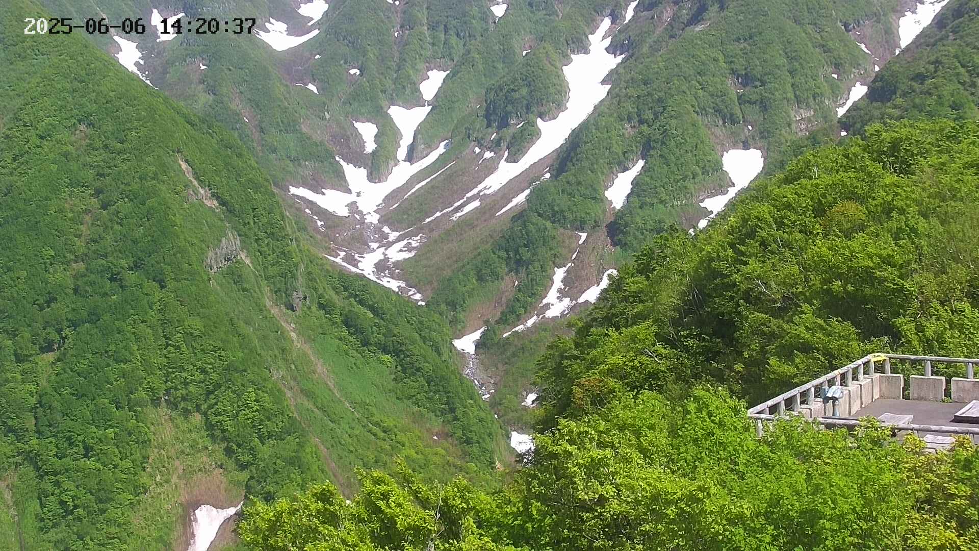naso20250606142038.jpg