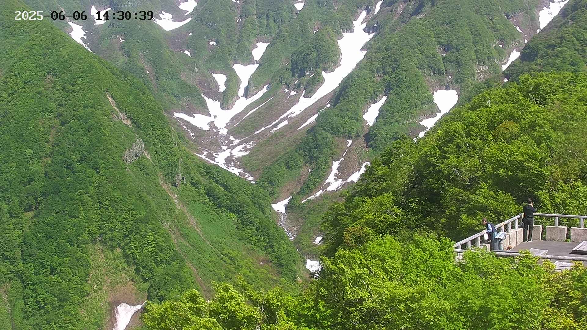 naso20250606143040.jpg
