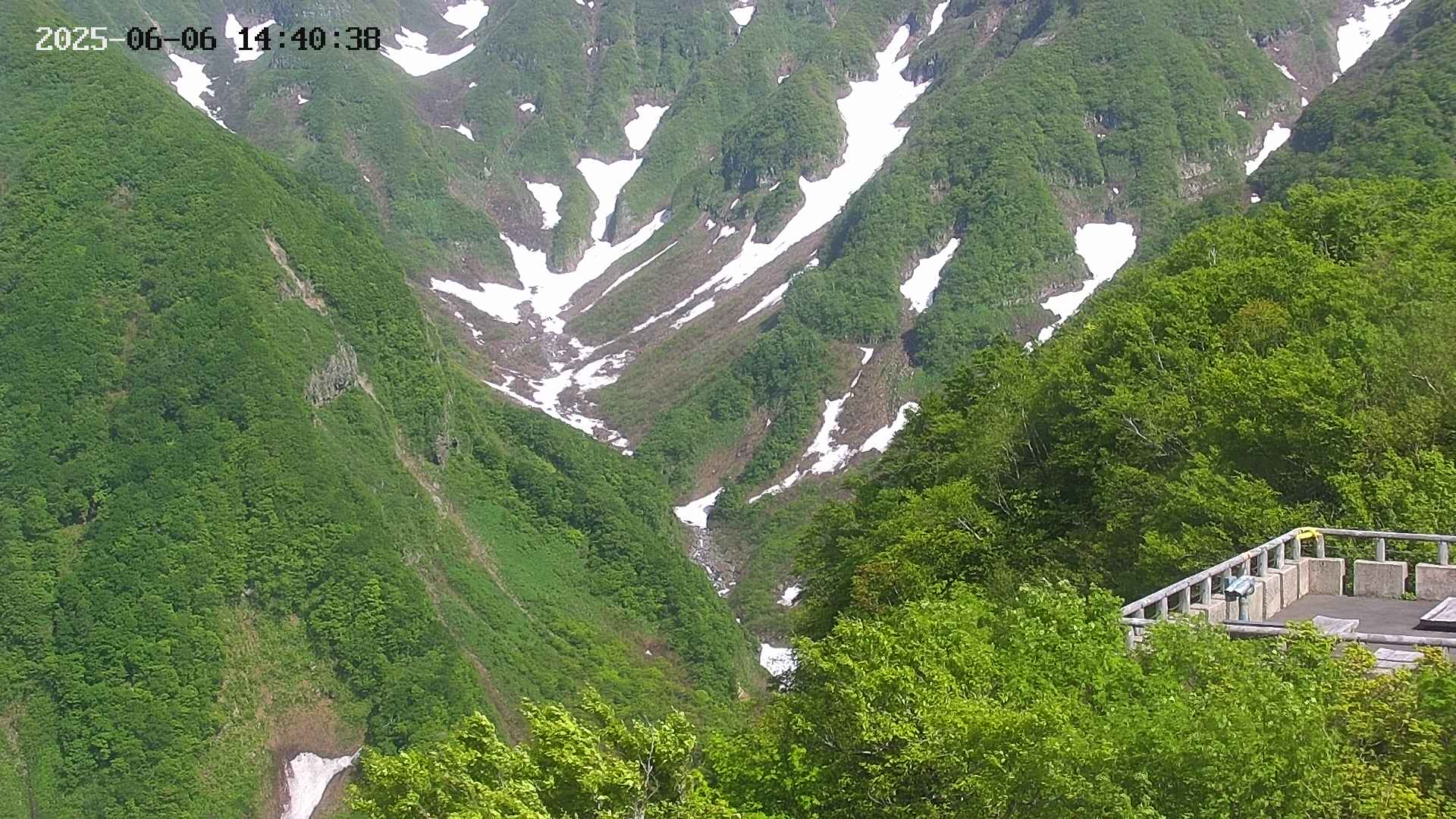 naso20250606144039.jpg