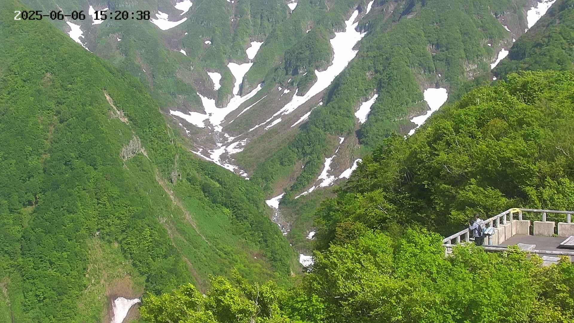 naso20250606152039.jpg