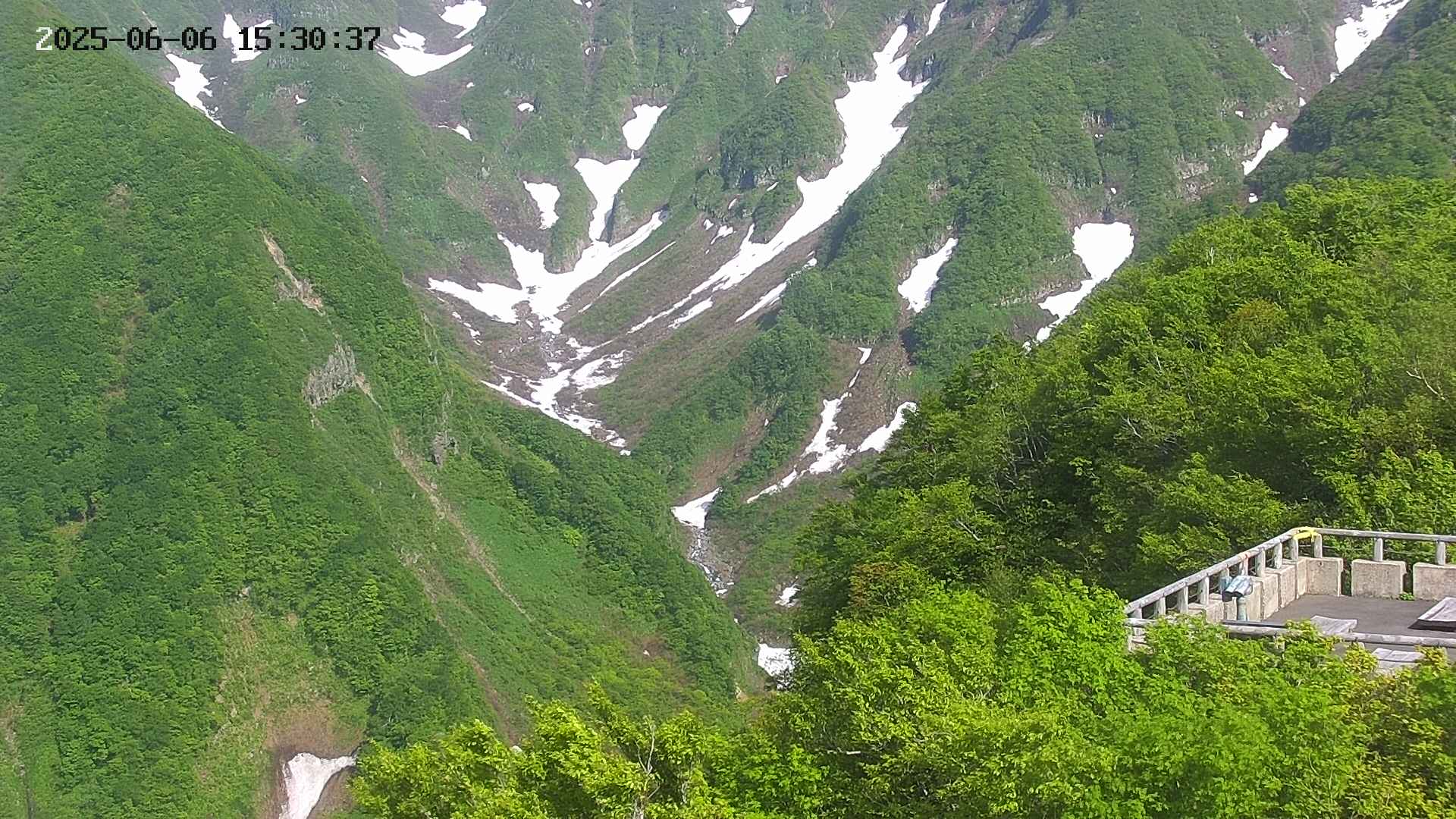 naso20250606153038.jpg