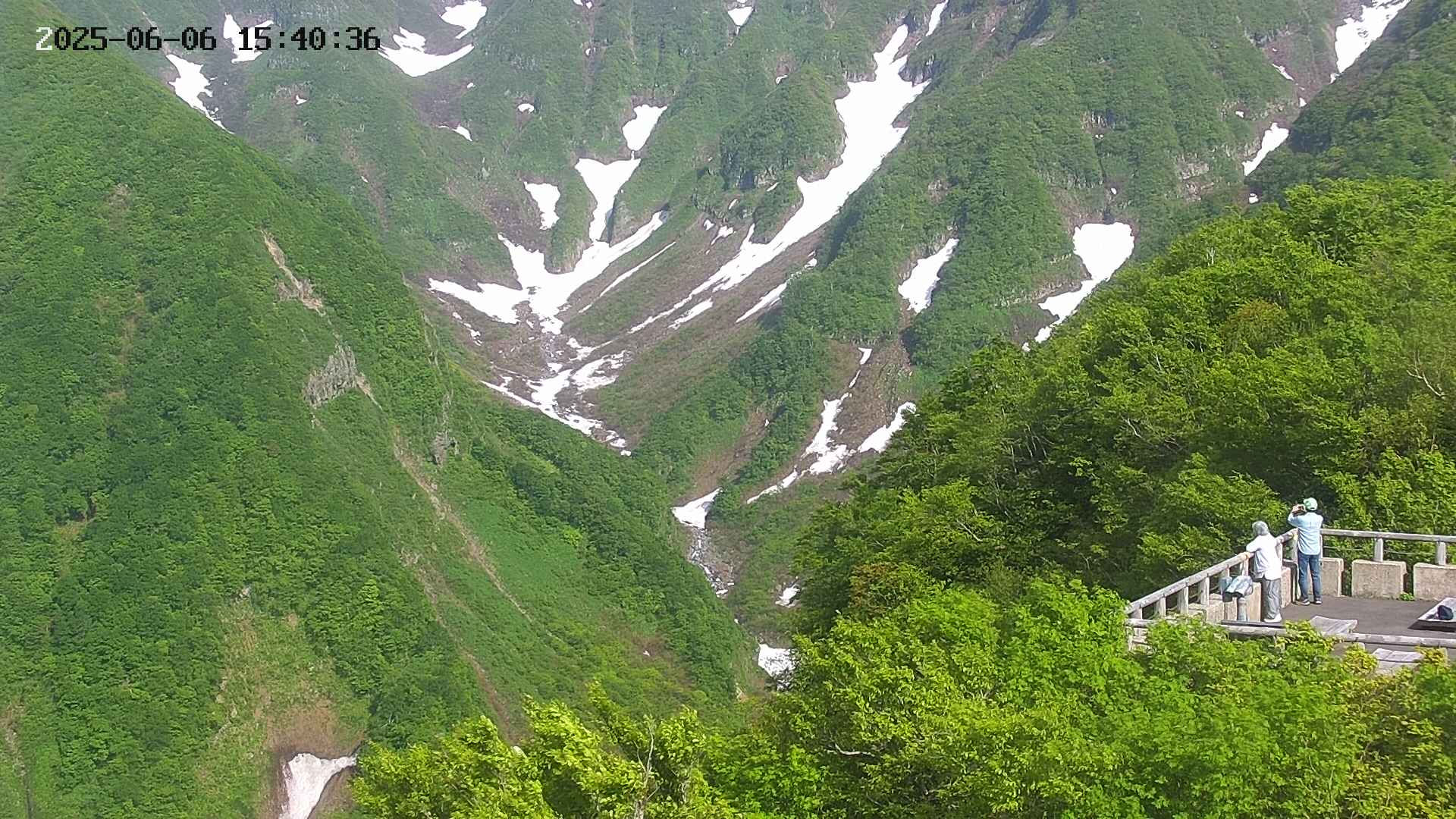 naso20250606154037.jpg