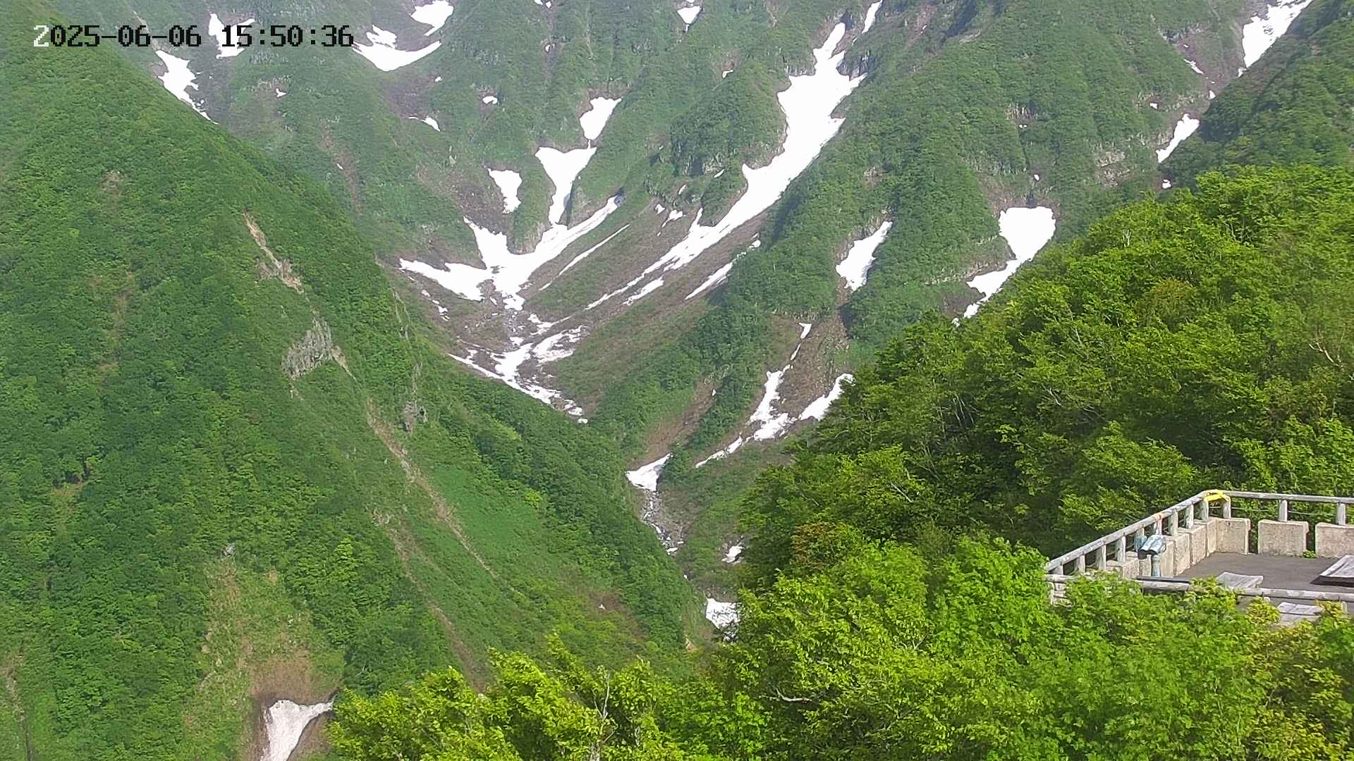 naso20250606155037.jpg