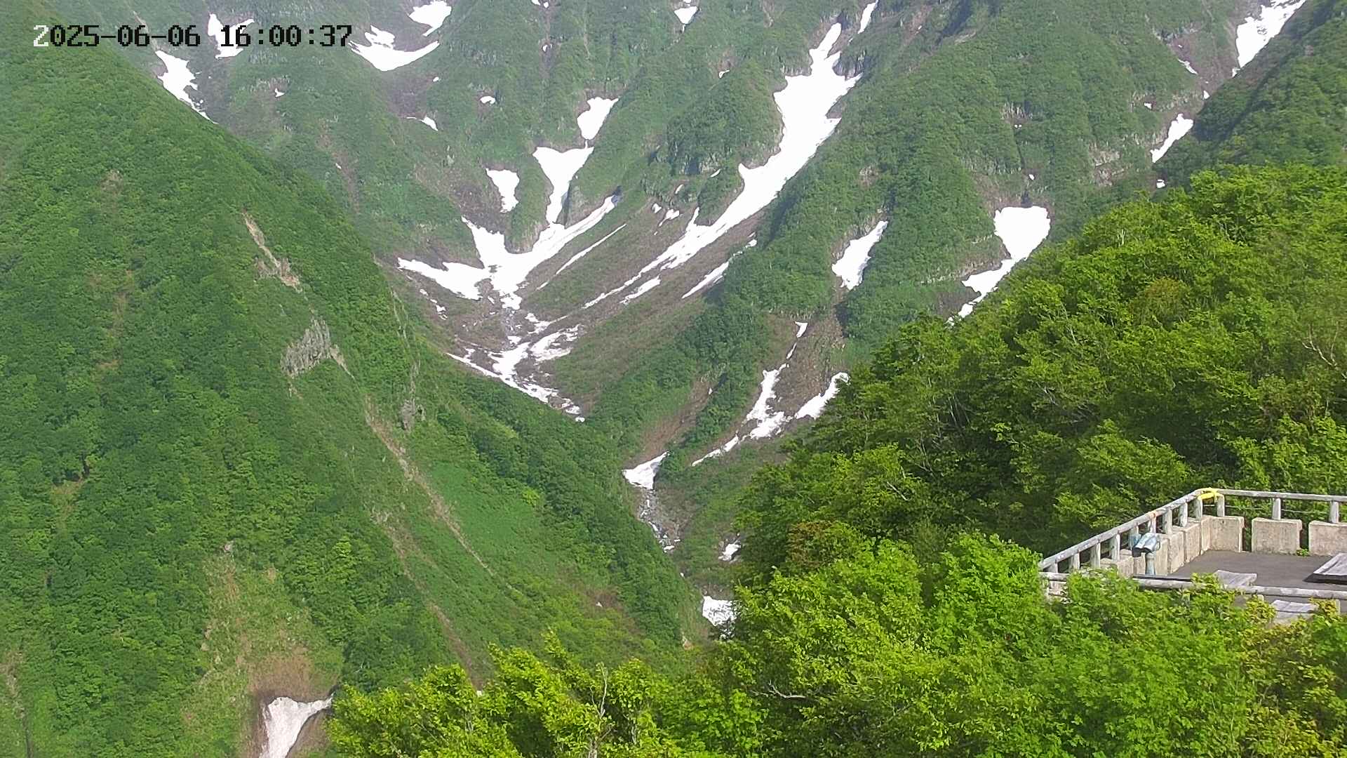 naso20250606160037.jpg