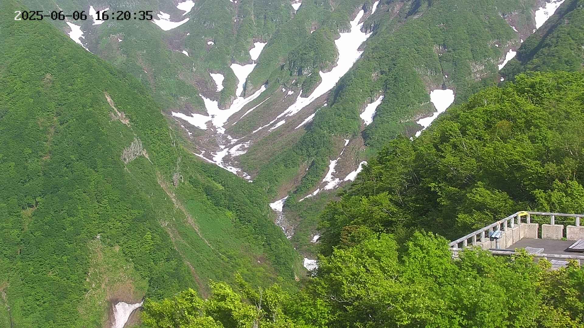 naso20250606162036.jpg