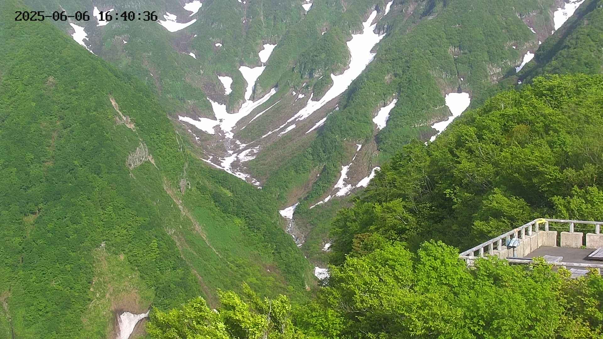 naso20250606164037.jpg