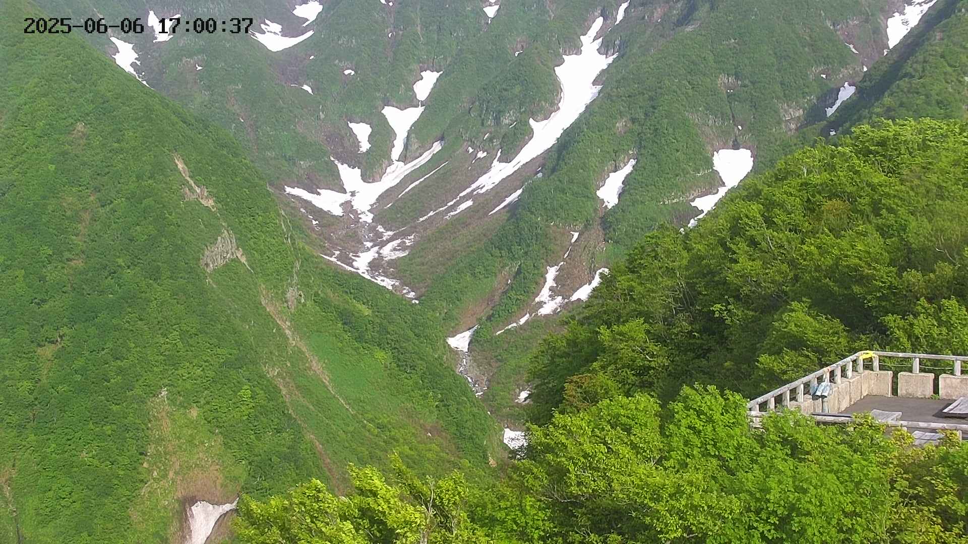 naso20250606170038.jpg