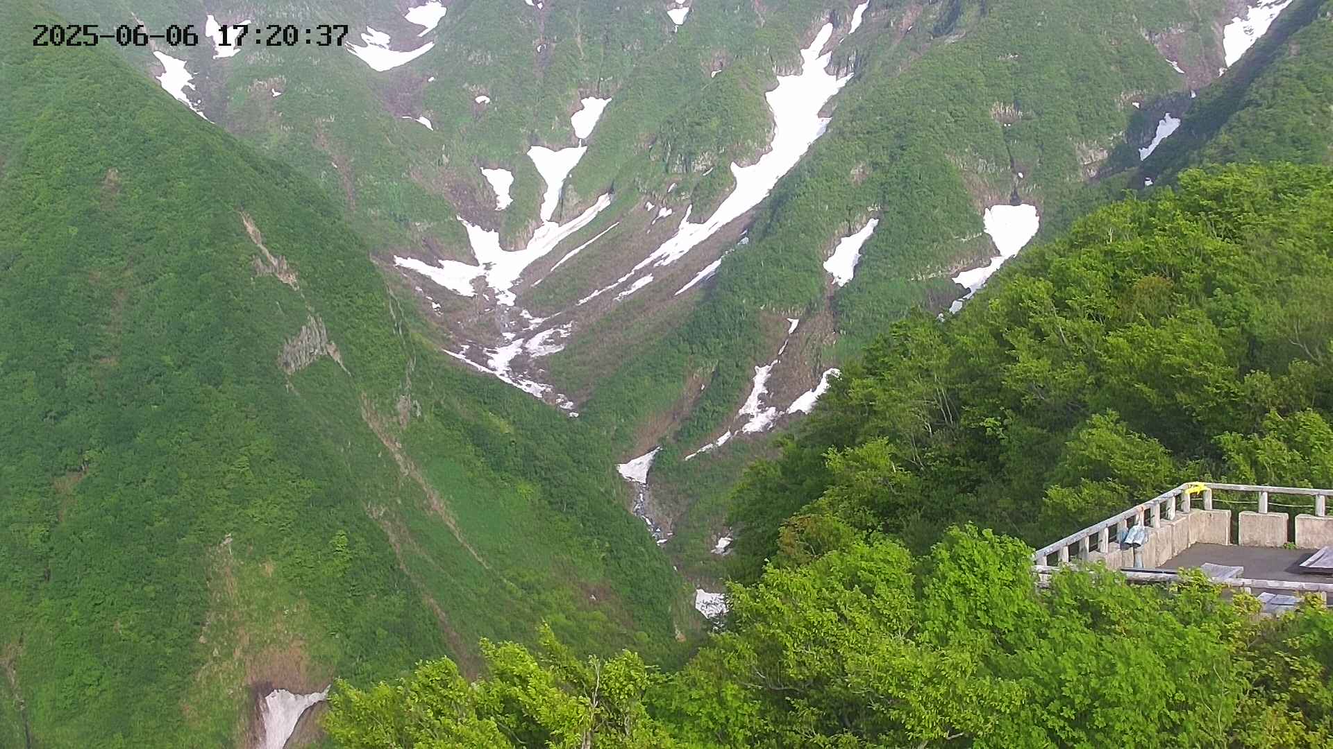 naso20250606172037.jpg