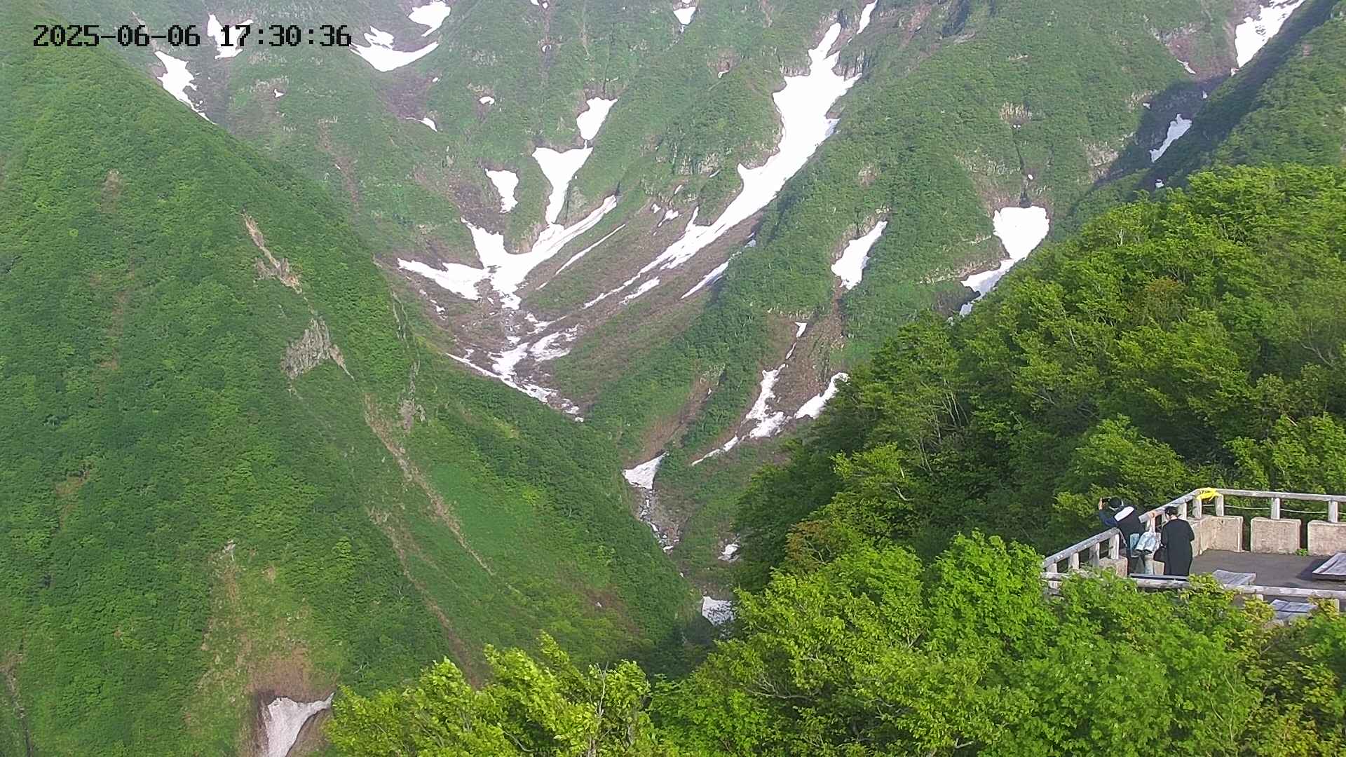 naso20250606173036.jpg
