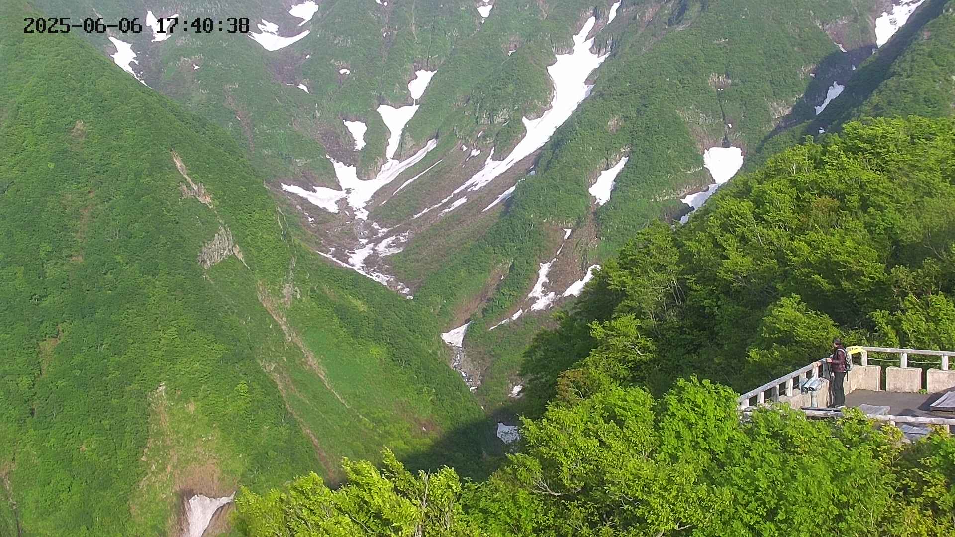 naso20250606174038.jpg