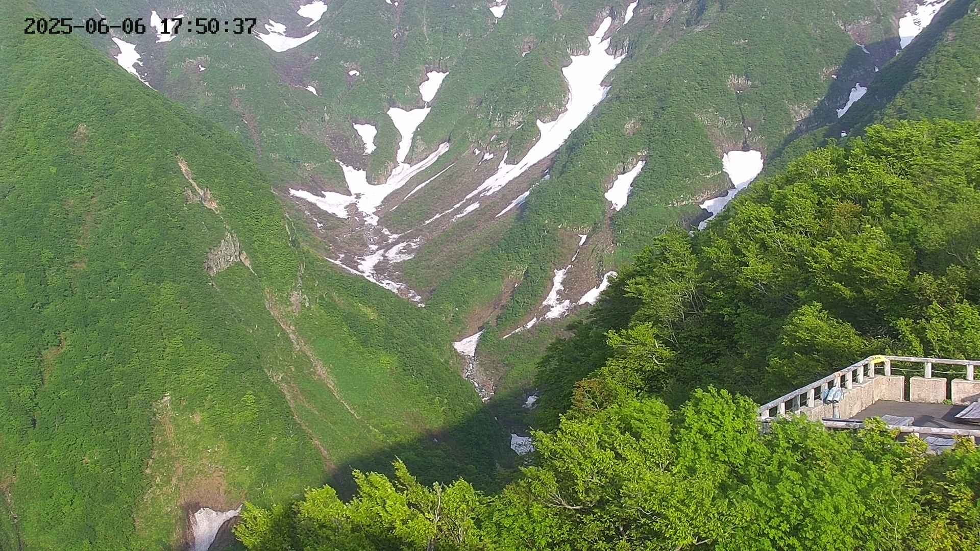 naso20250606175037.jpg