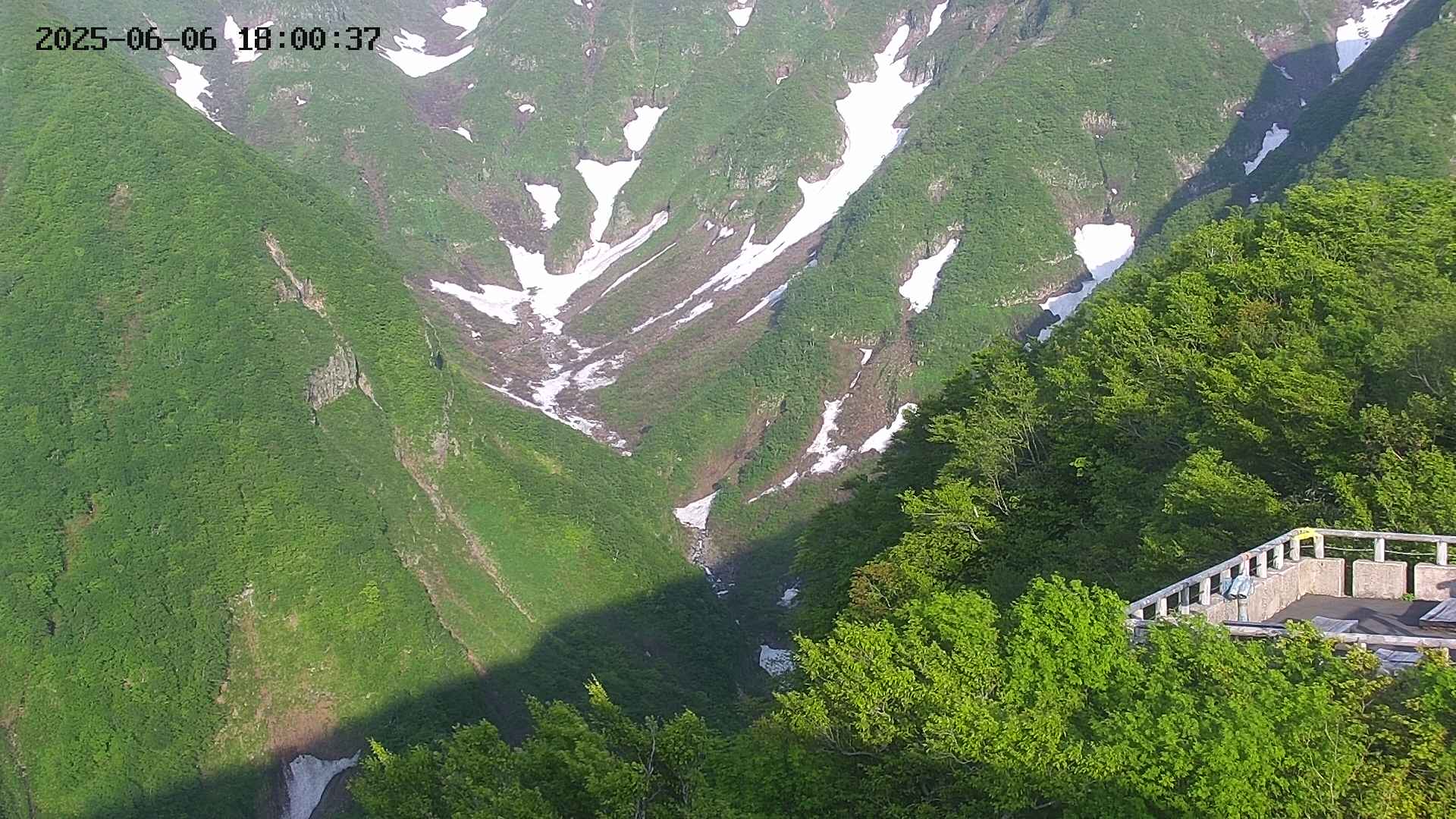naso20250606180037.jpg