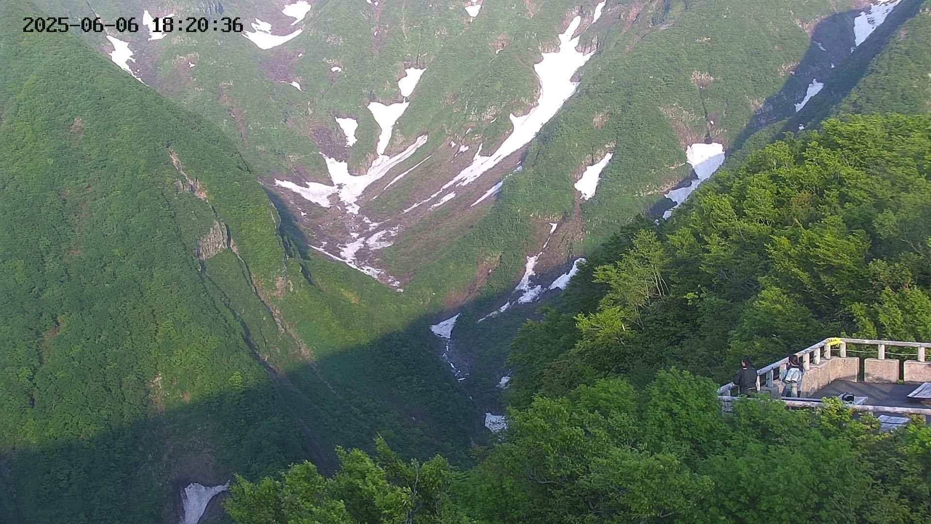 naso20250606182037.jpg