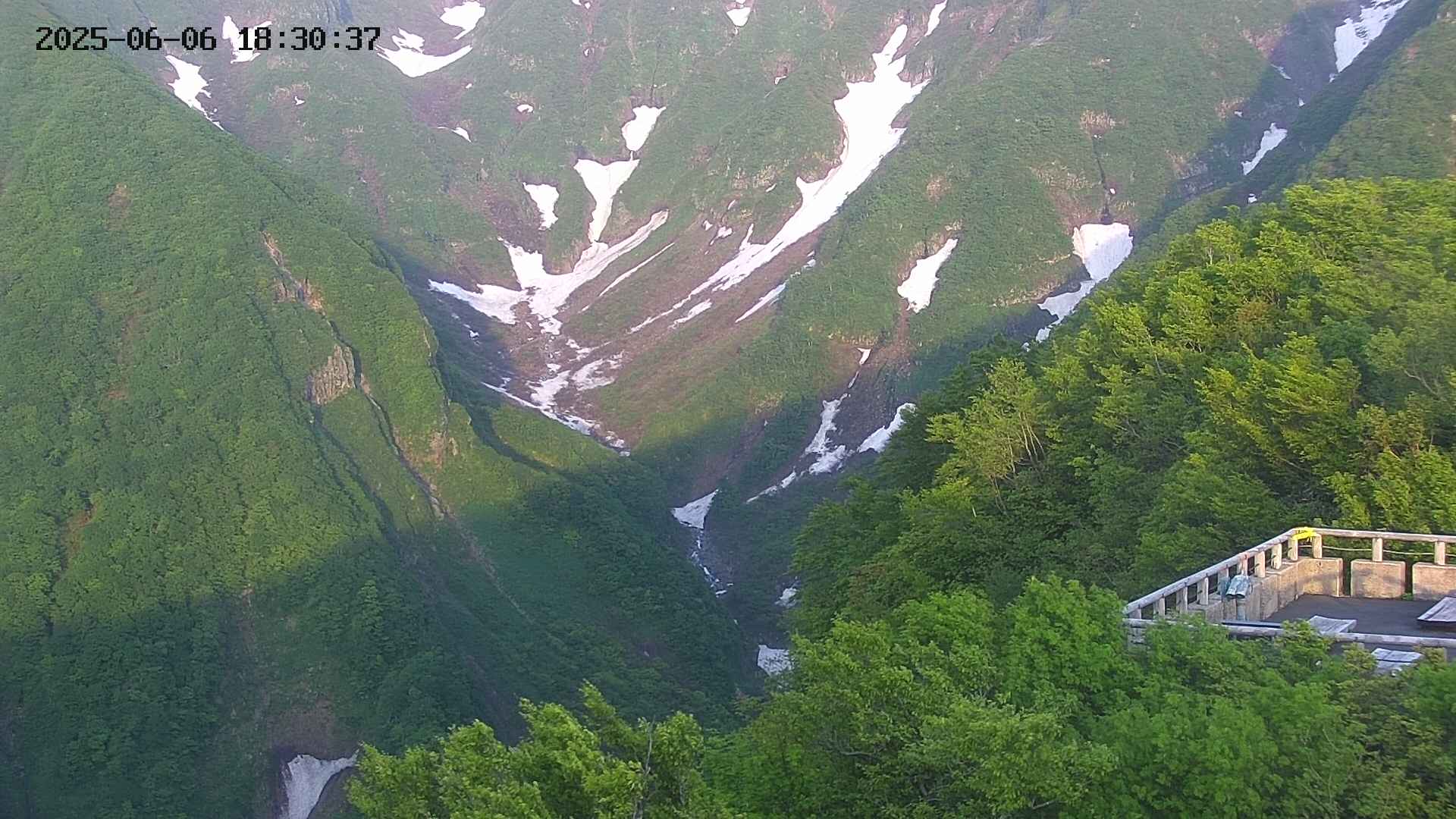 naso20250606183037.jpg