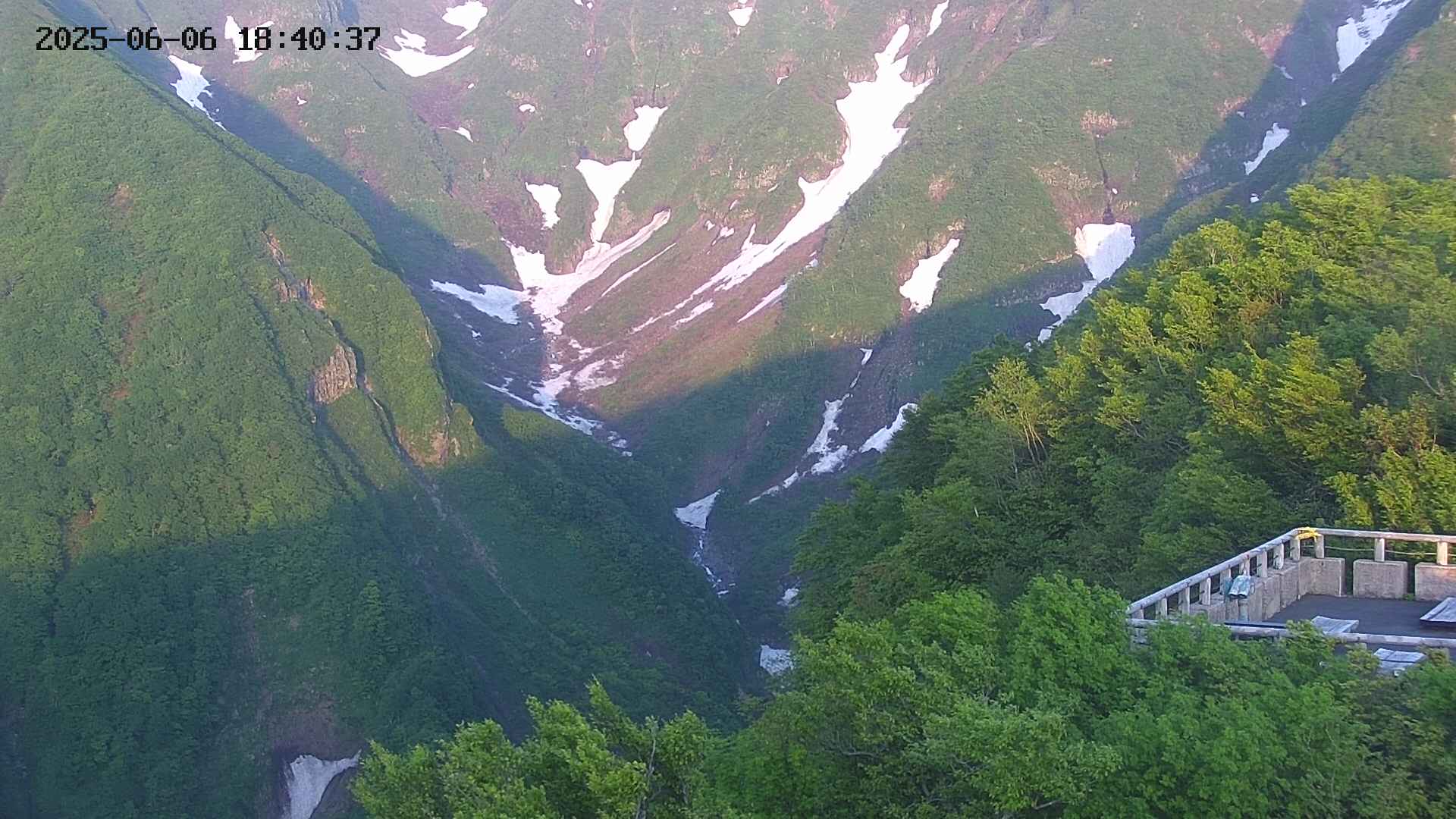 naso20250606184037.jpg