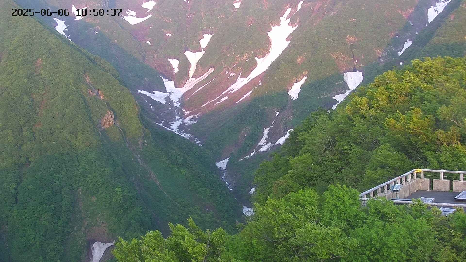 naso20250606185037.jpg