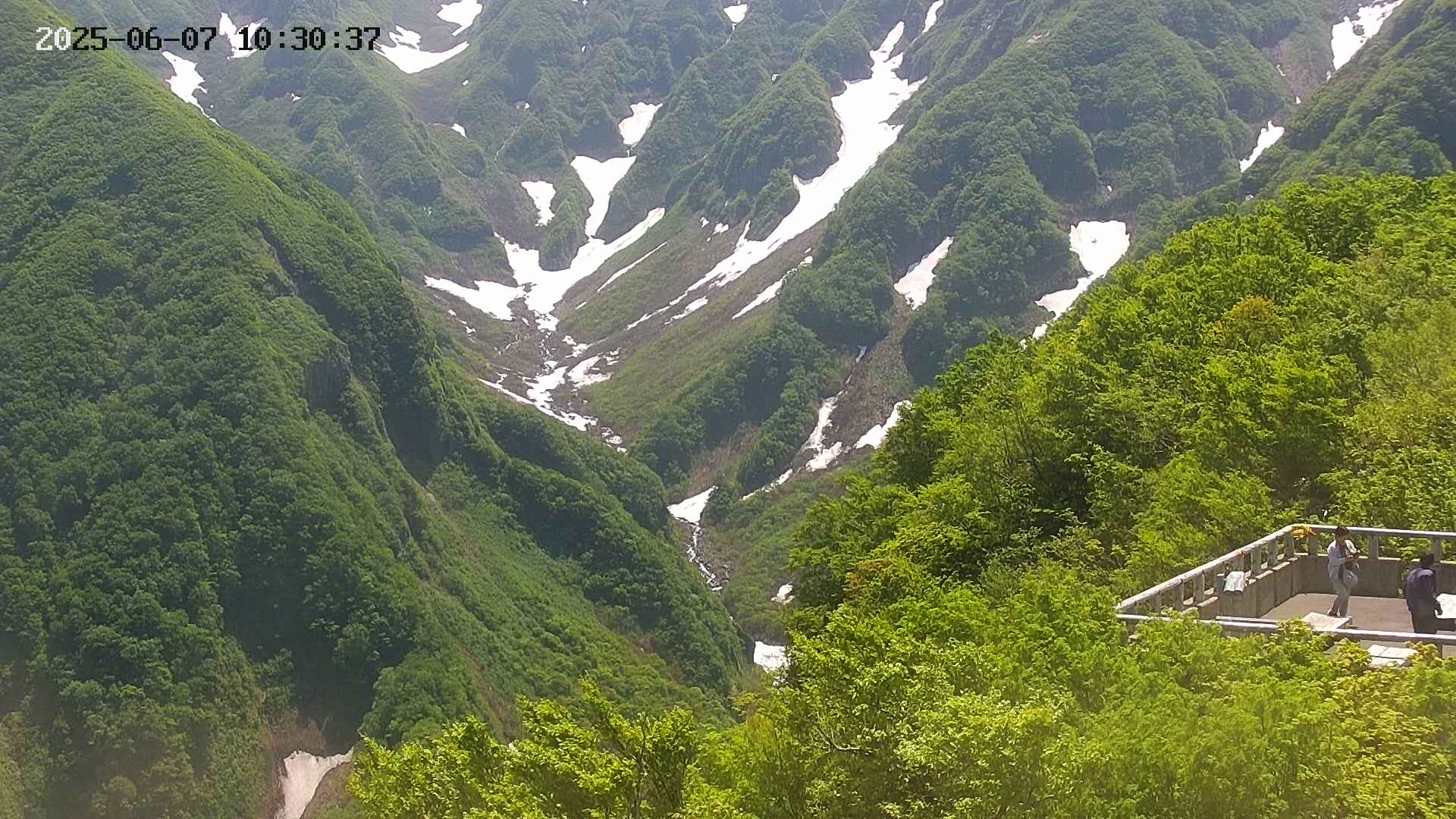 naso20250607103039.jpg