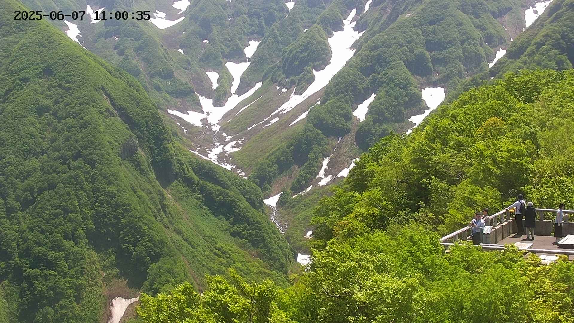 naso20250607110037.jpg