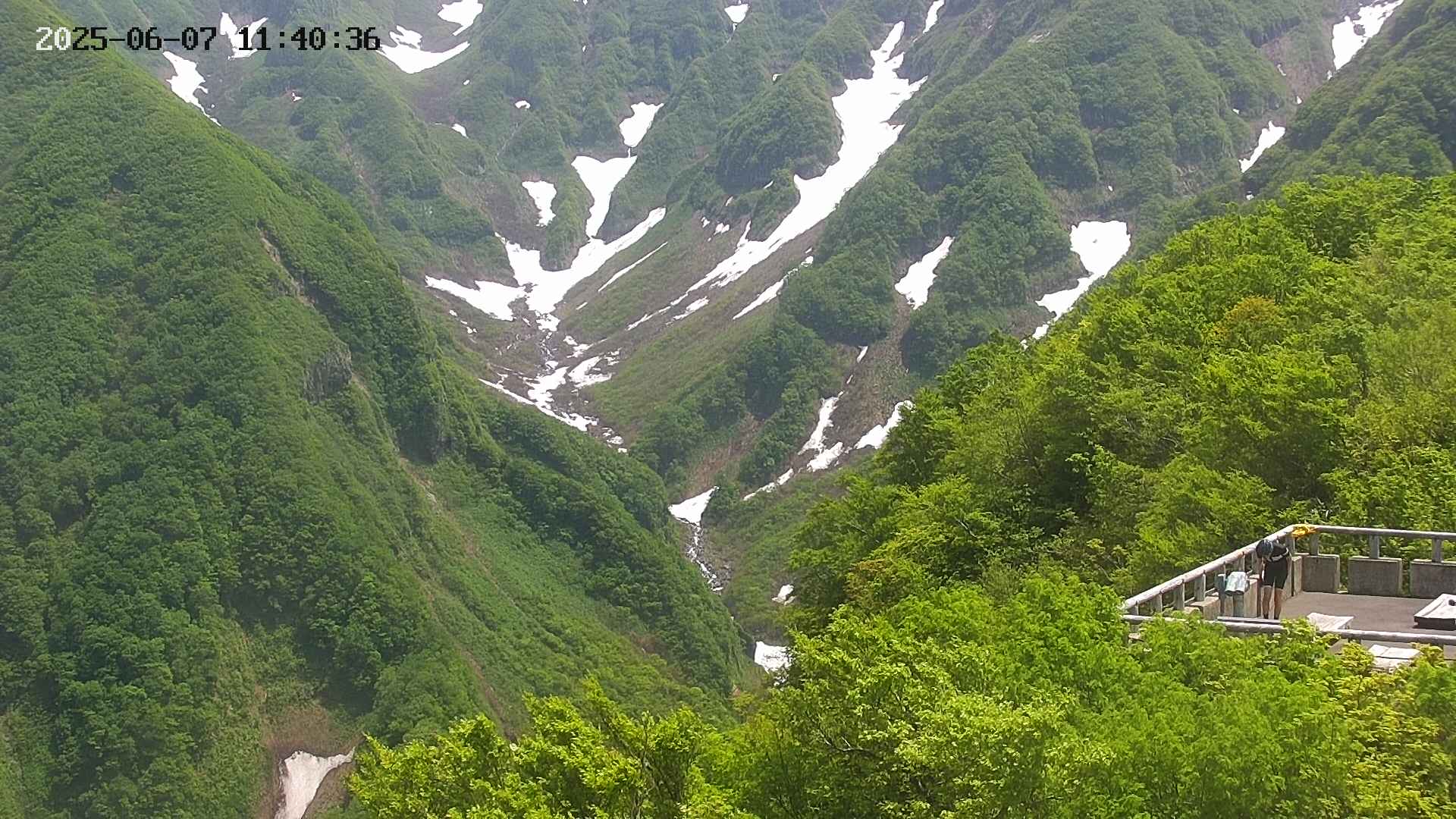 naso20250607114037.jpg