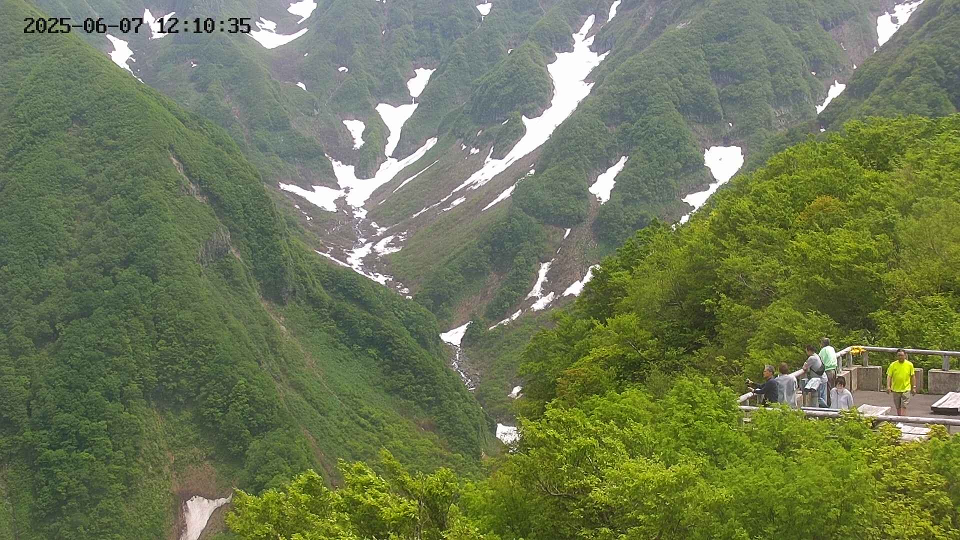 naso20250607121037.jpg