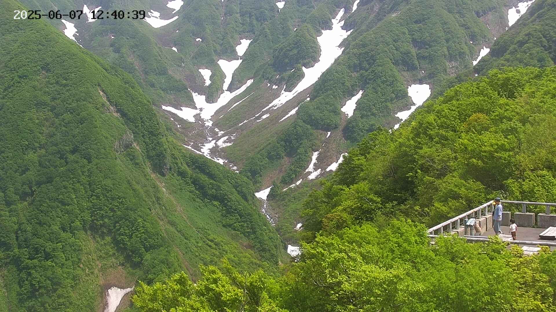 naso20250607124042.jpg