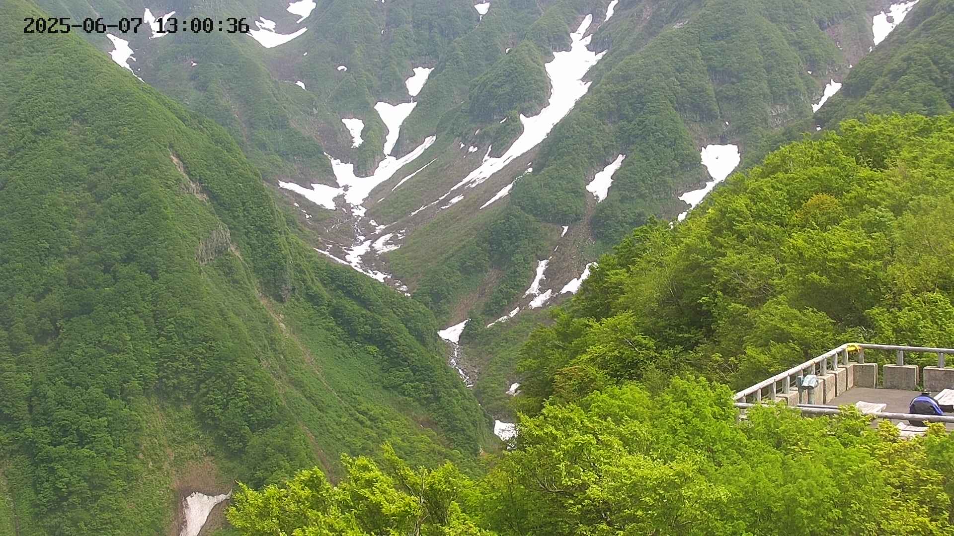 naso20250607130039.jpg