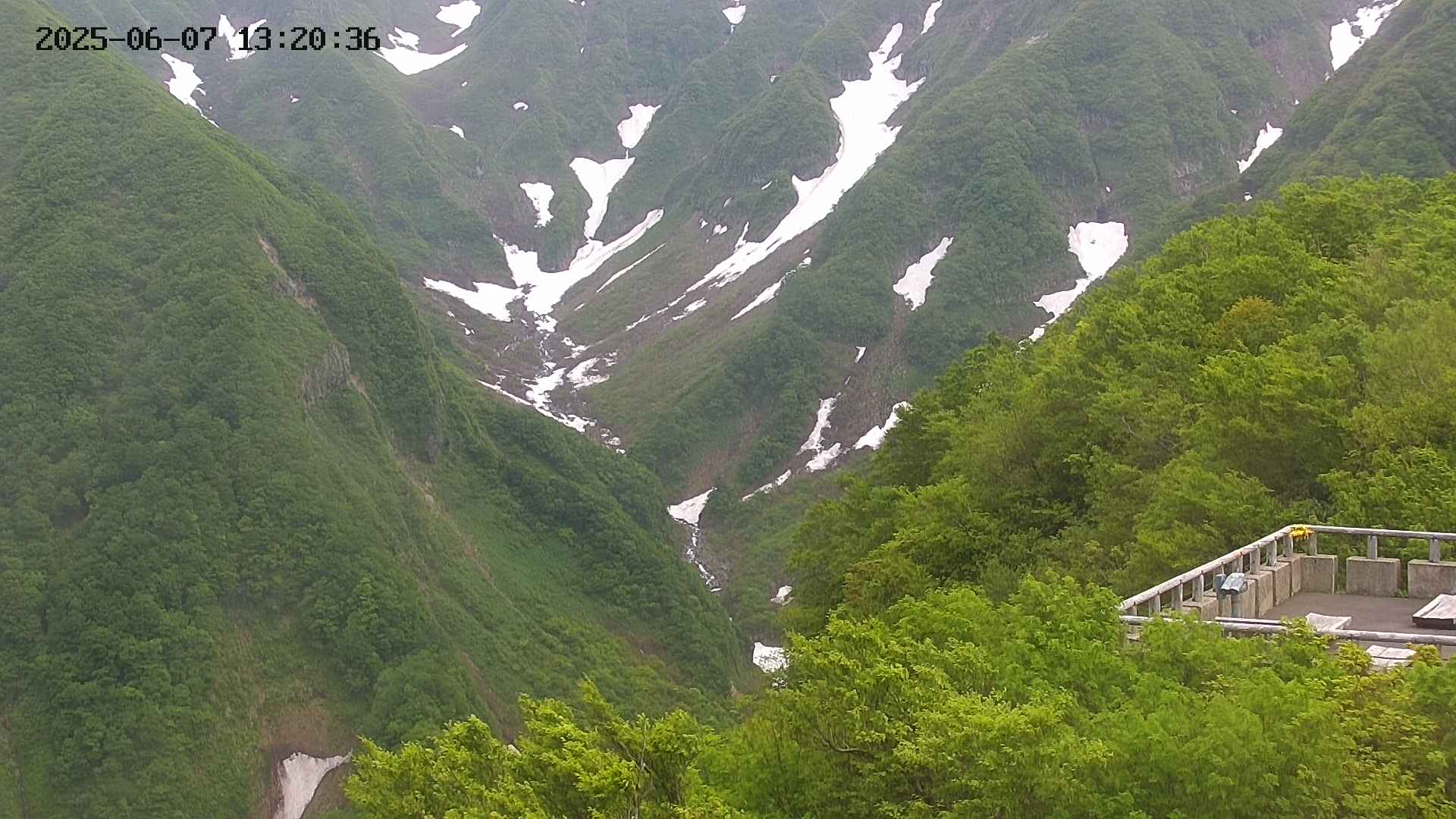 naso20250607132038.jpg