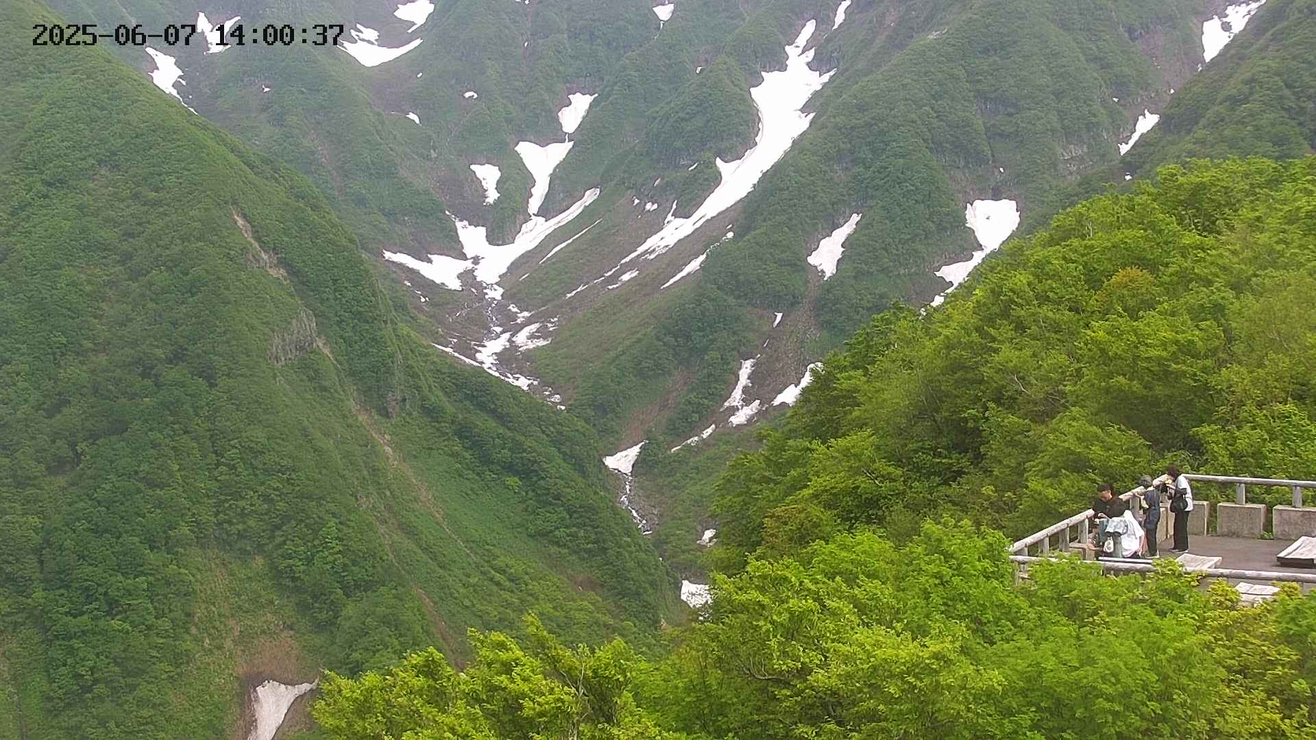 naso20250607140041.jpg