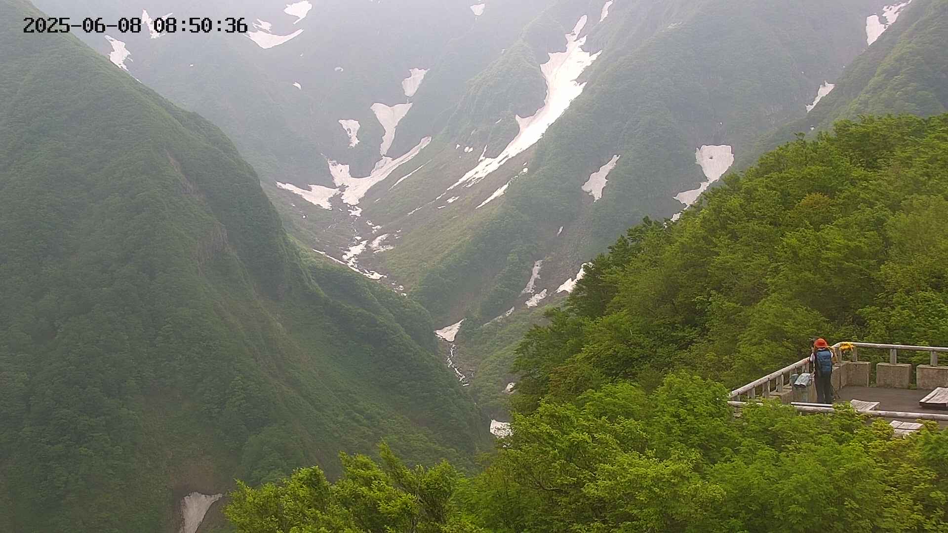 naso20250608085037.jpg