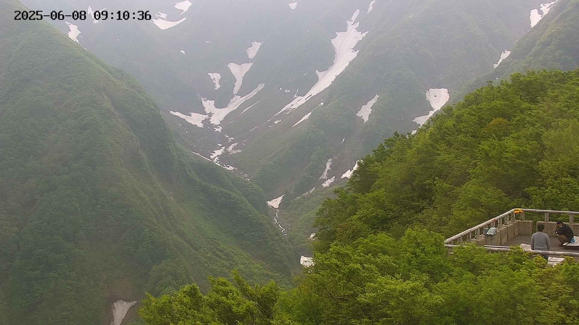 naso20250608091037.jpg