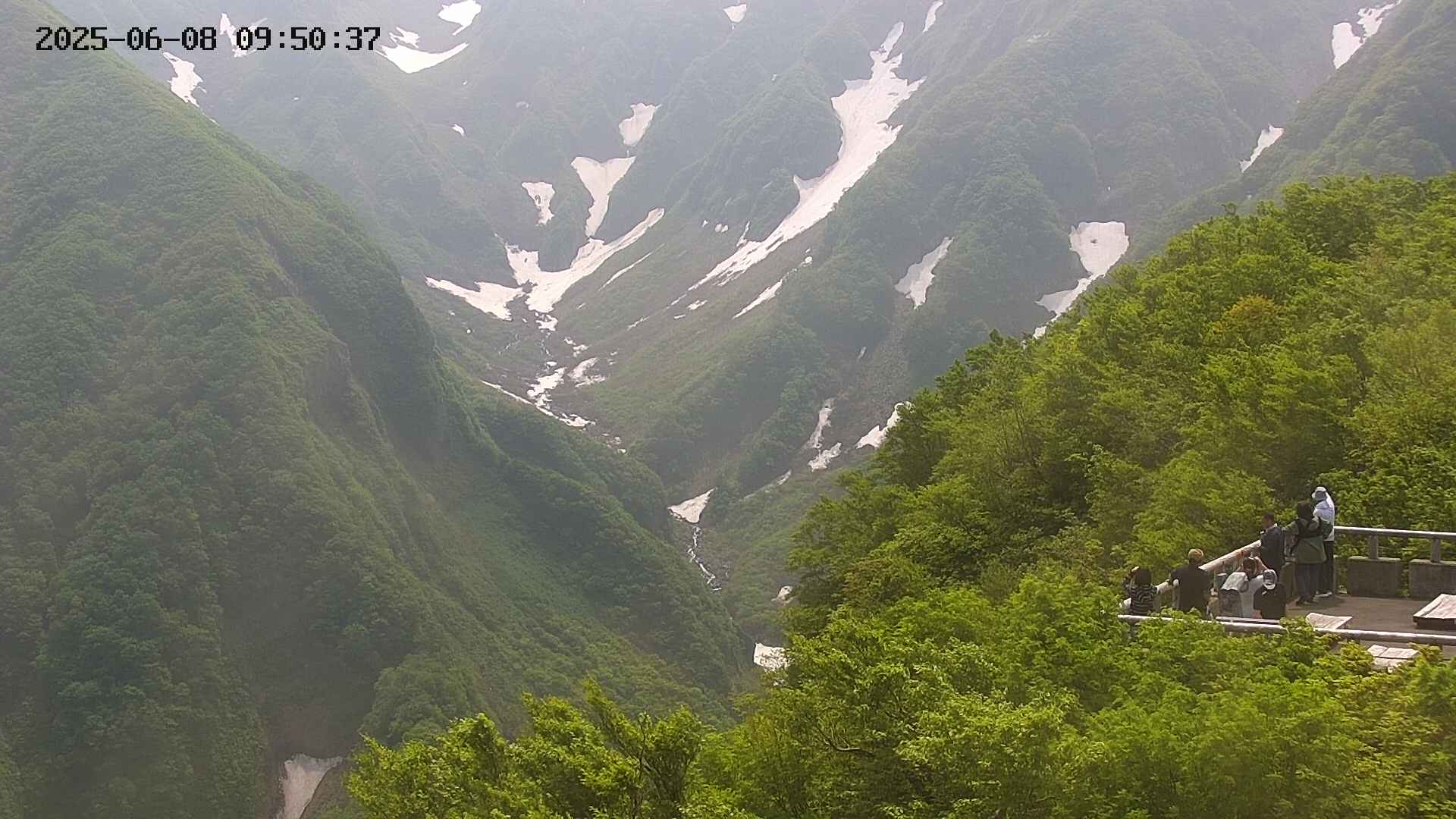 naso20250608095039.jpg