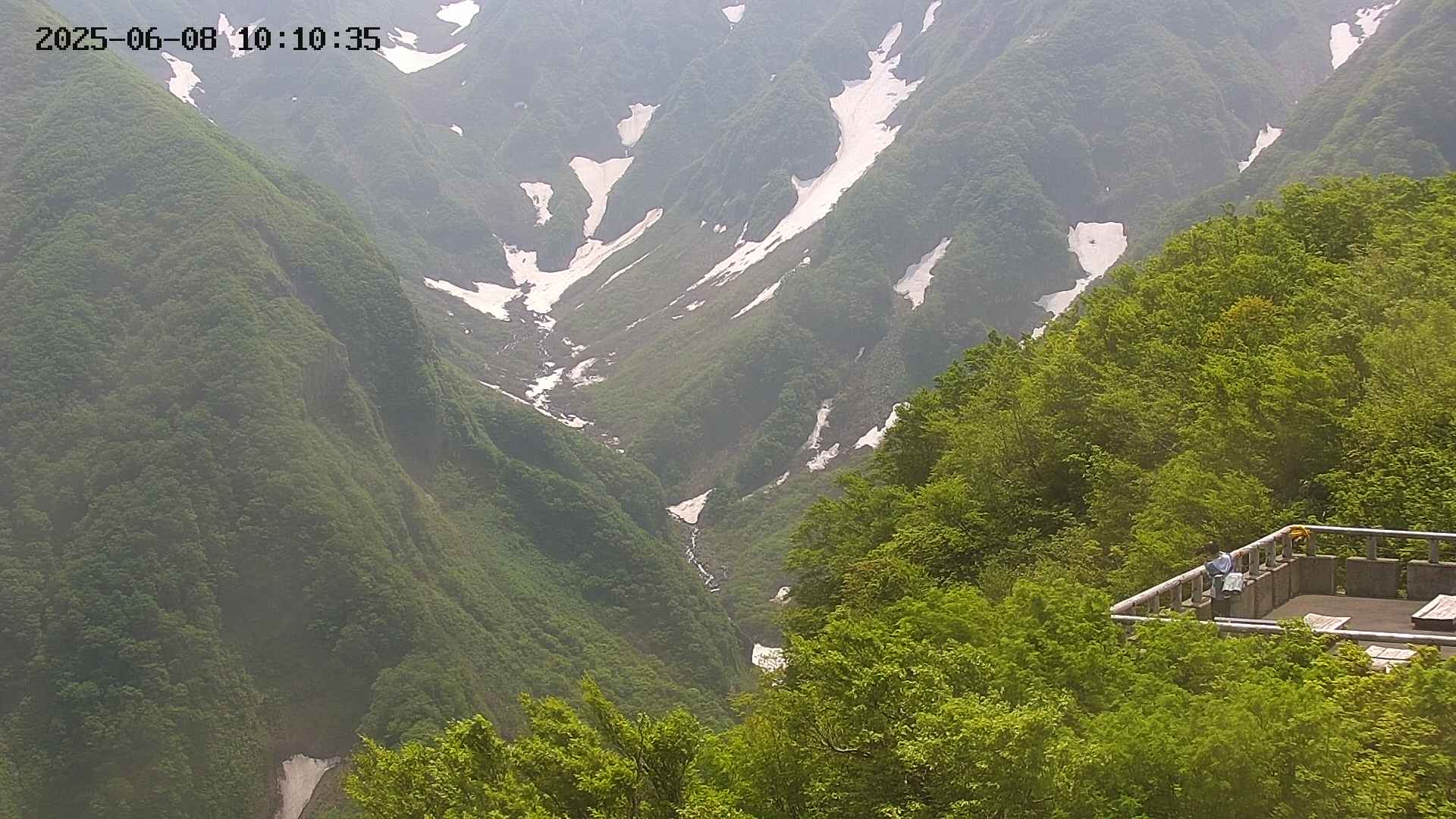 naso20250608101037.jpg