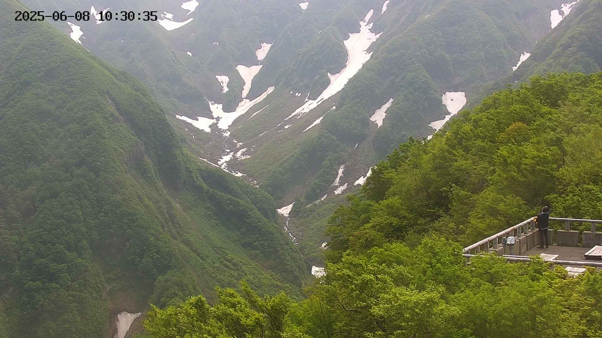 naso20250608103036.jpg