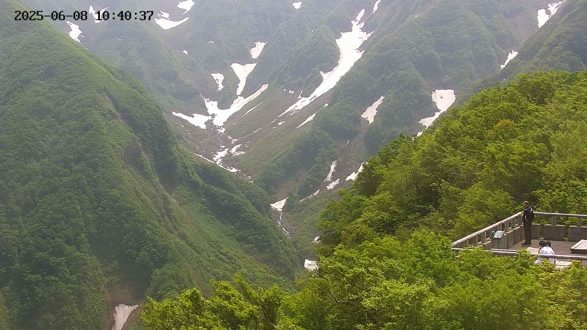 naso20250608104039.jpg