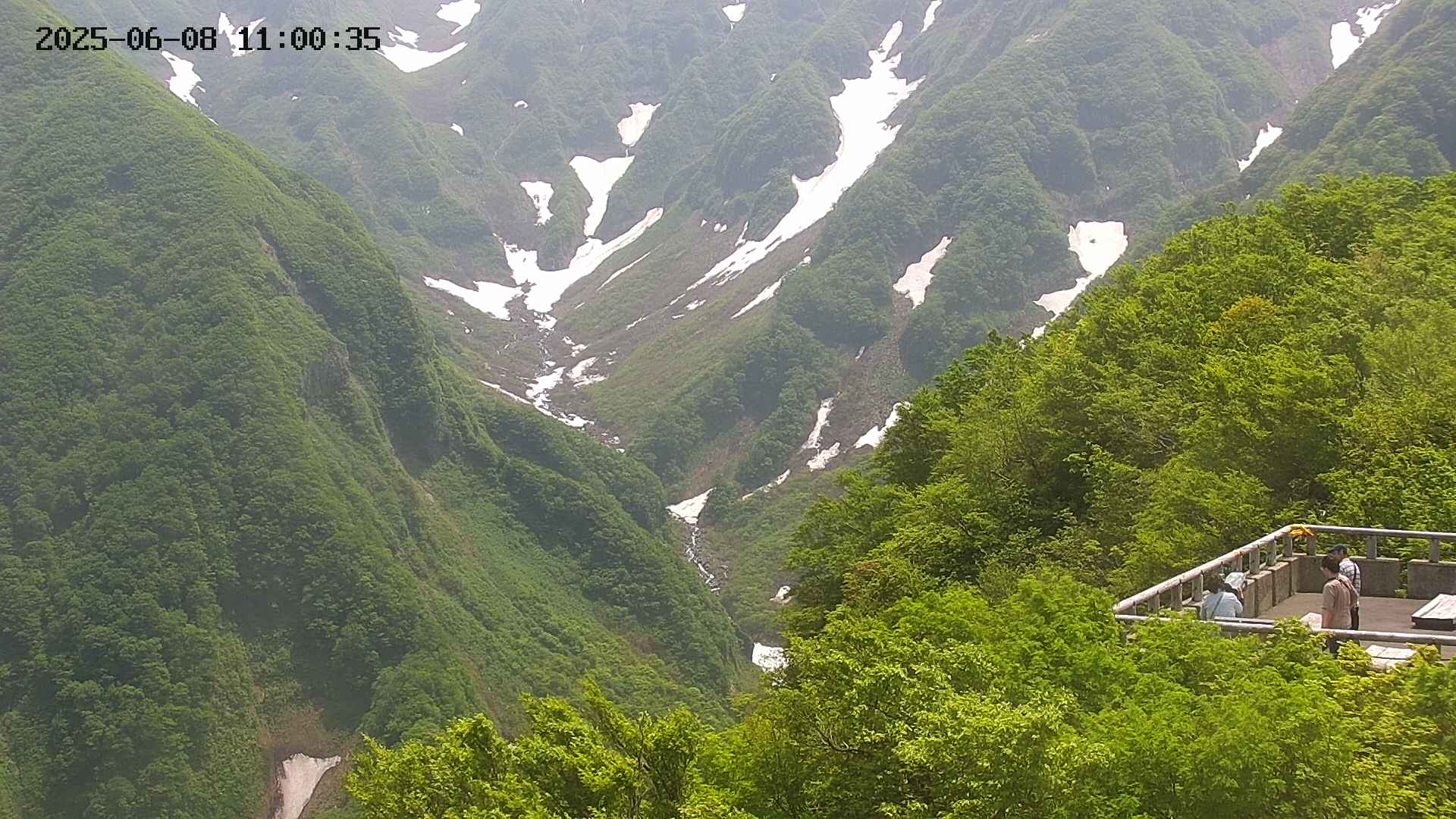 naso20250608110036.jpg