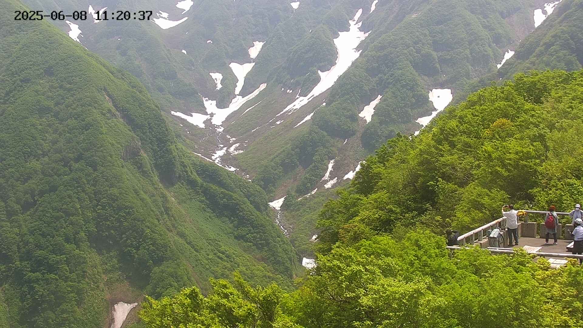 naso20250608112039.jpg