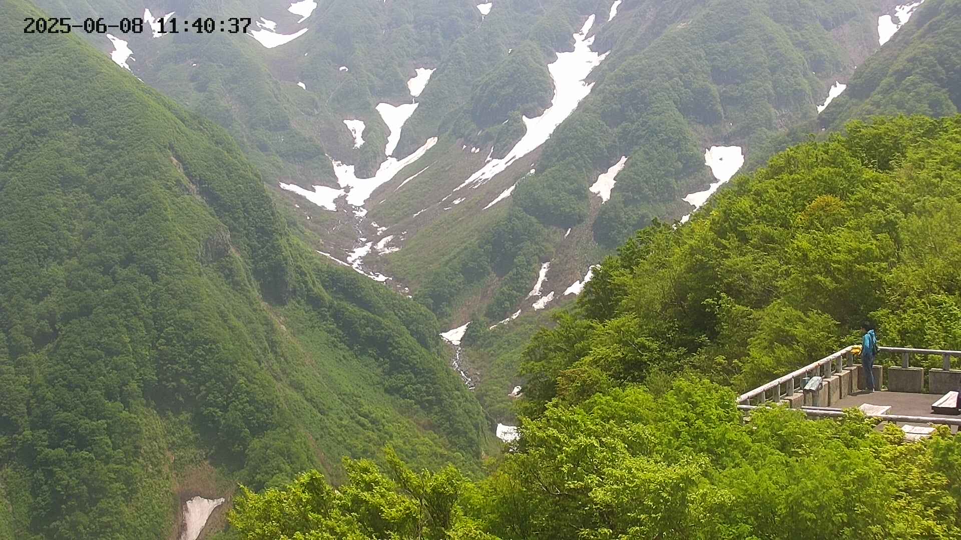 naso20250608114039.jpg