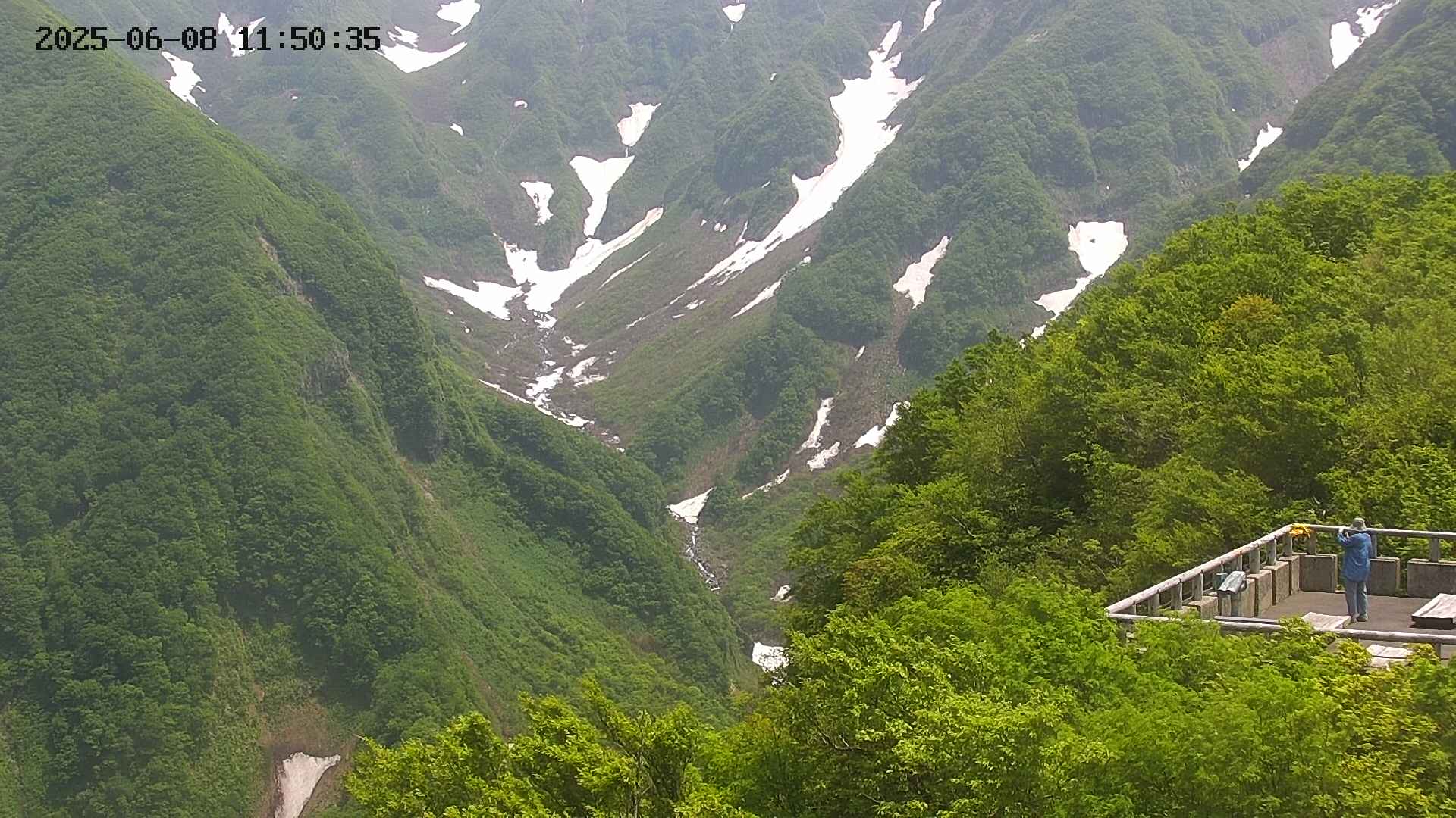 naso20250608115037.jpg