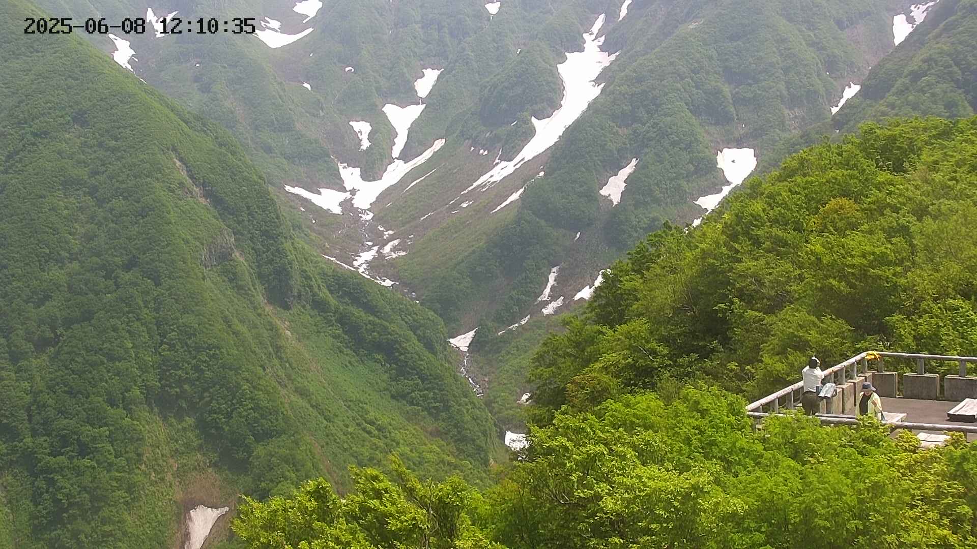 naso20250608121037.jpg