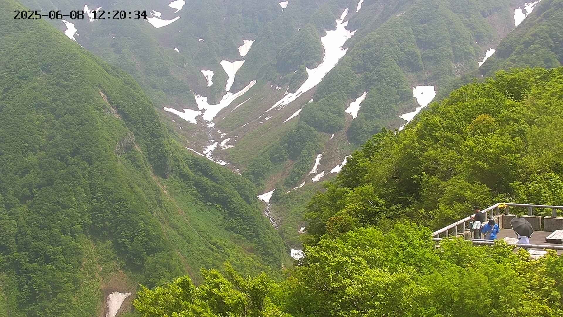 naso20250608122036.jpg
