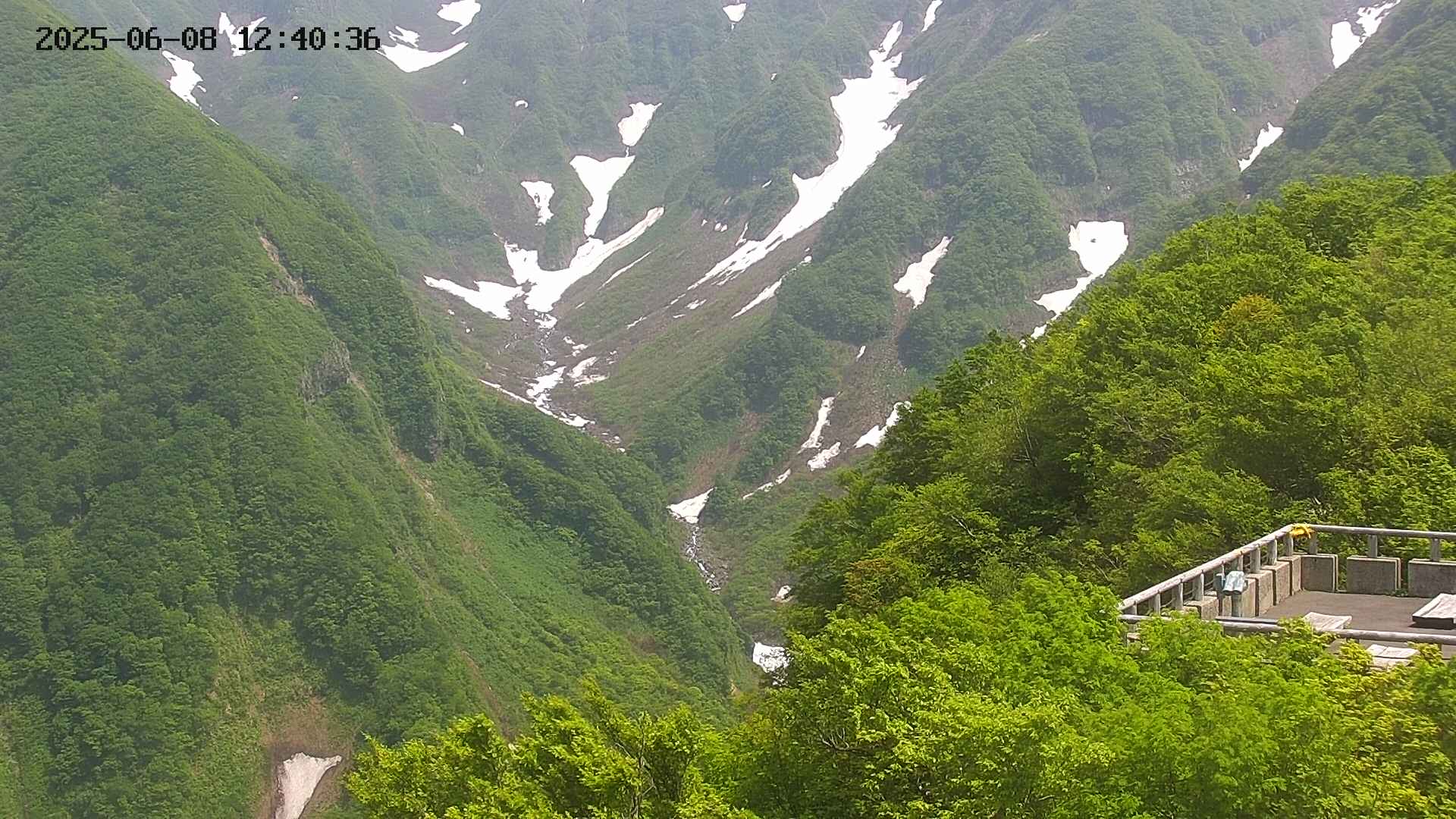 naso20250608124038.jpg