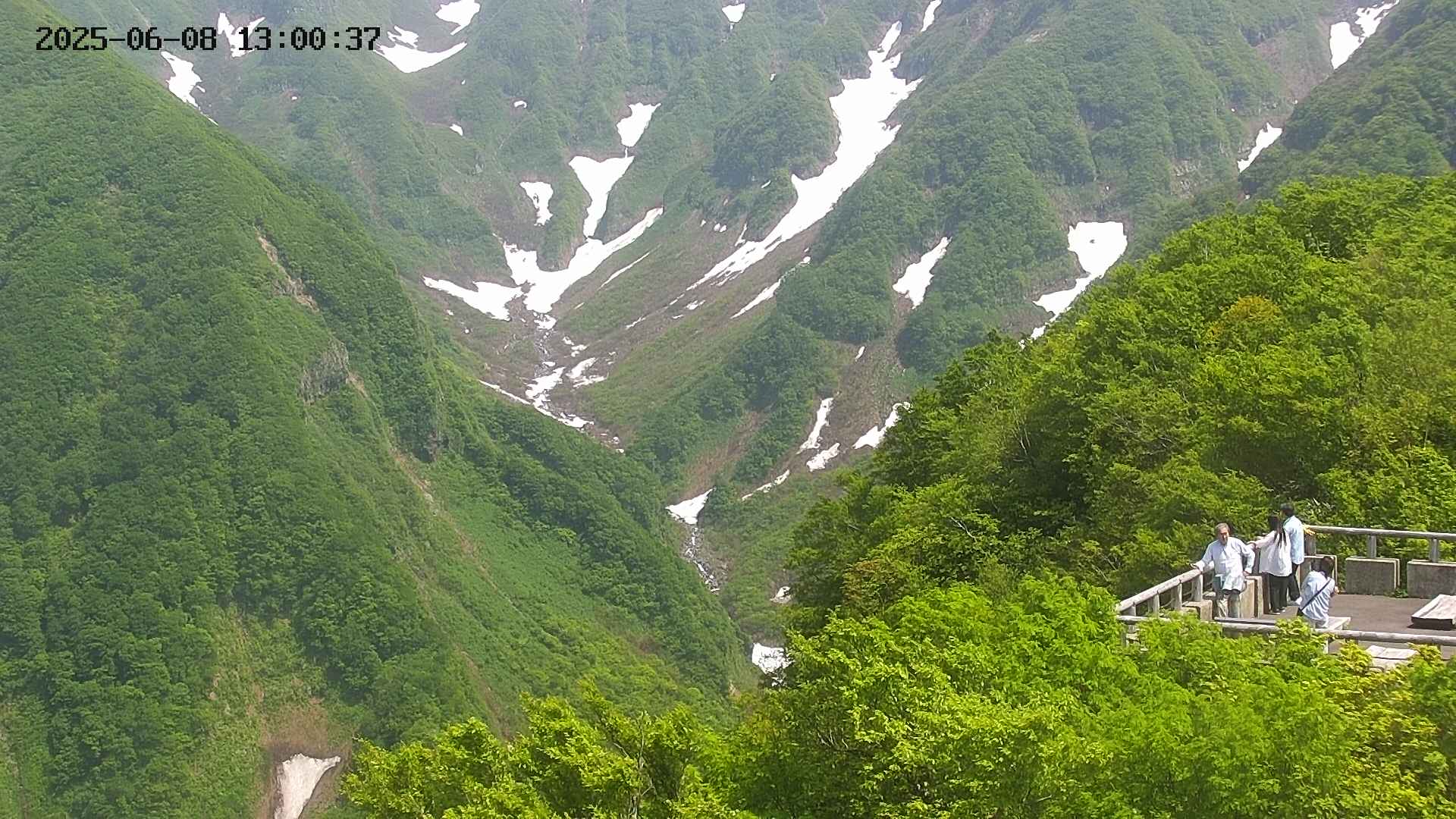 naso20250608130039.jpg