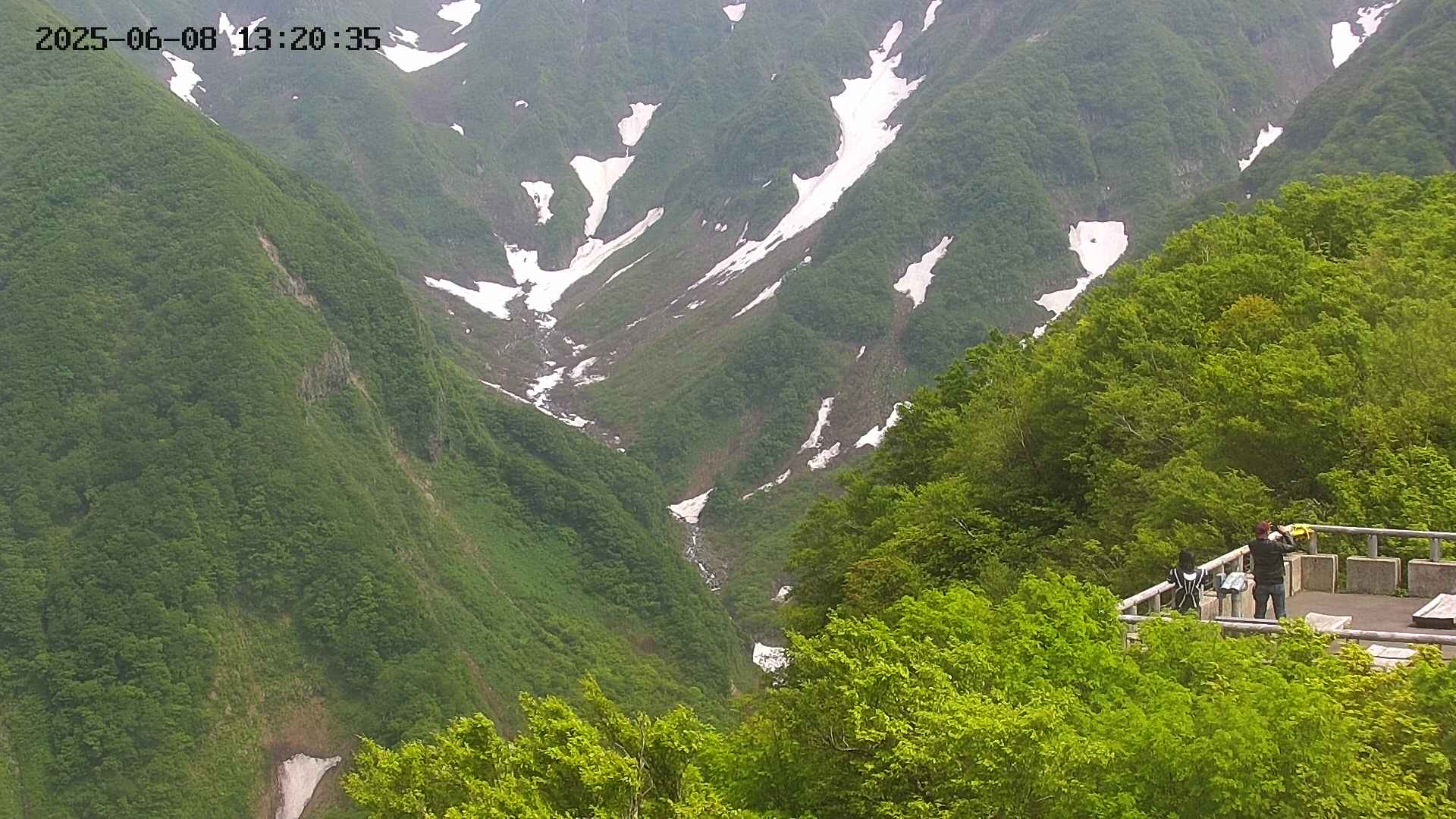 naso20250608132037.jpg